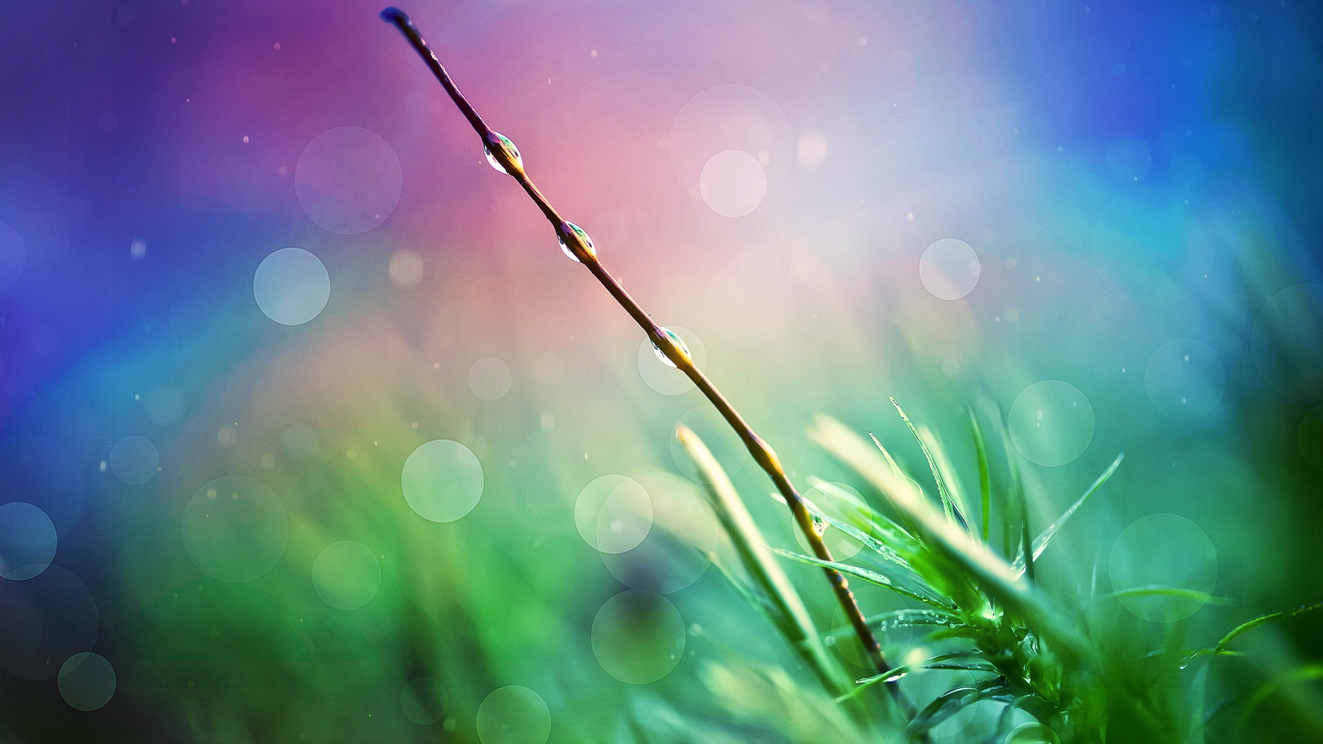 Природа