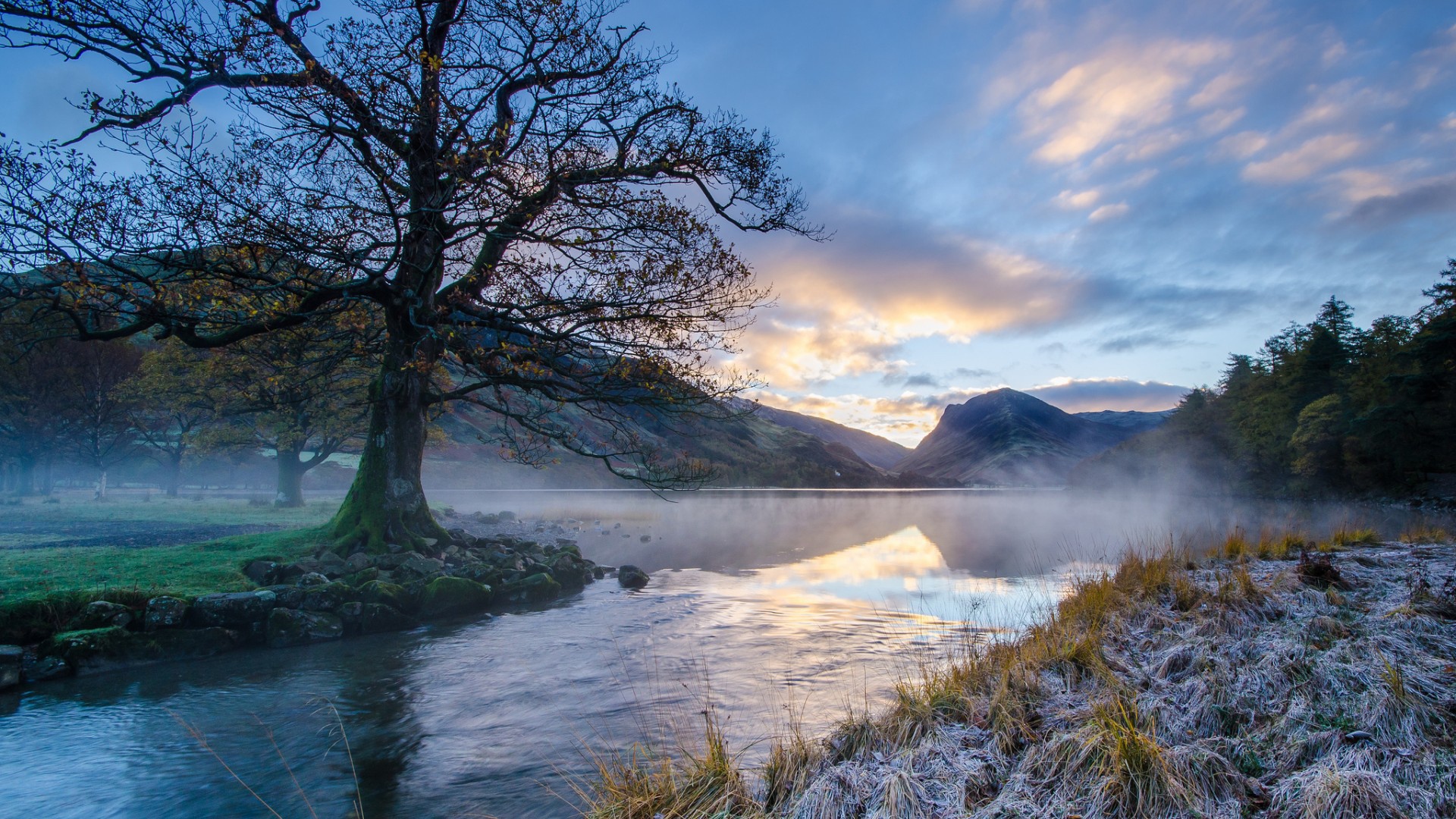 Ил на берегу