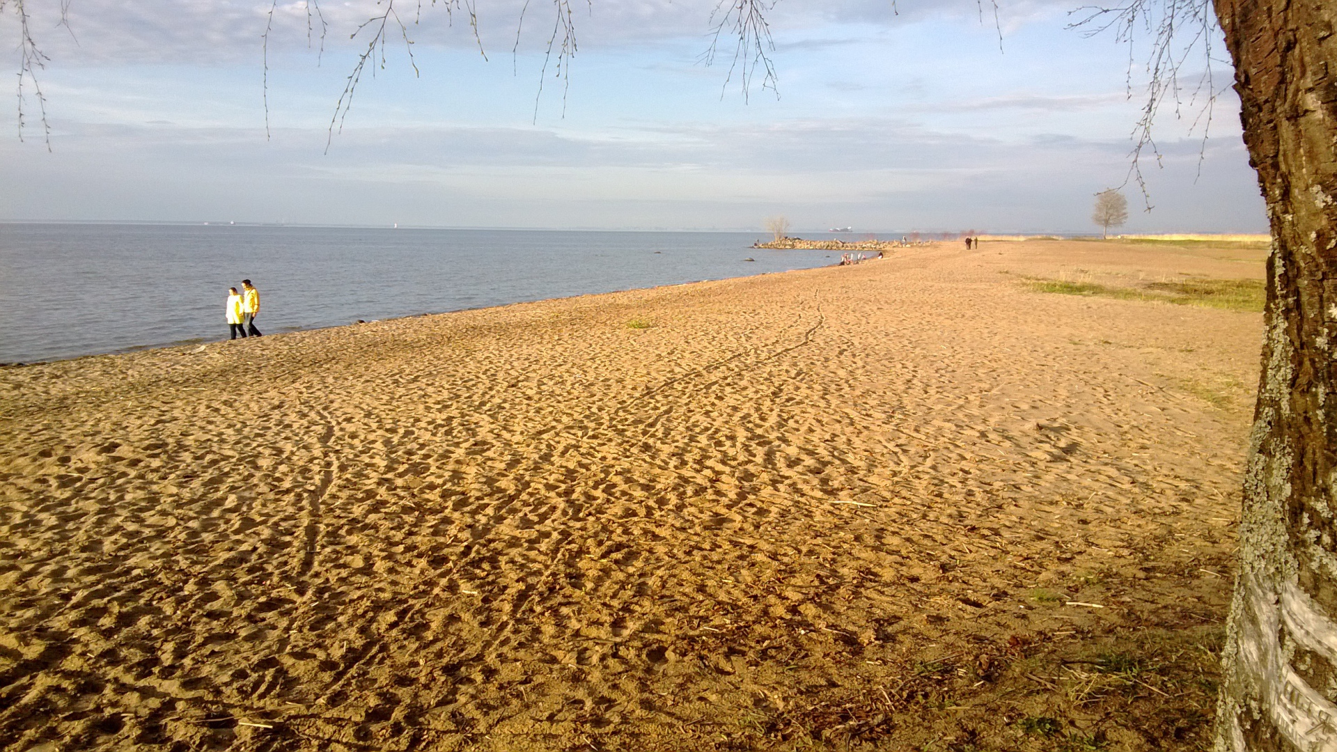 Красивый вид на золотой пляж