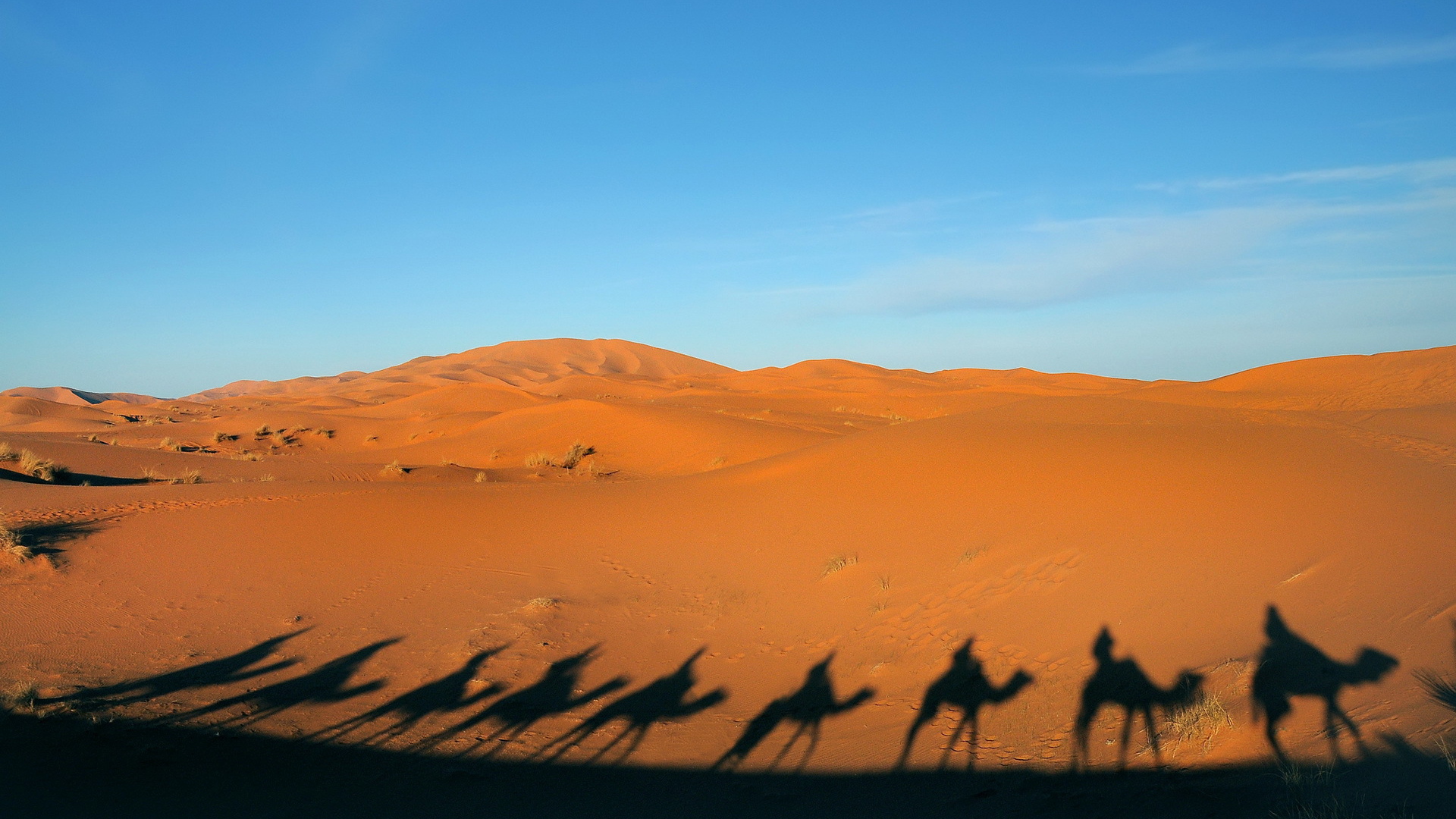 Тени каравана в пустыне