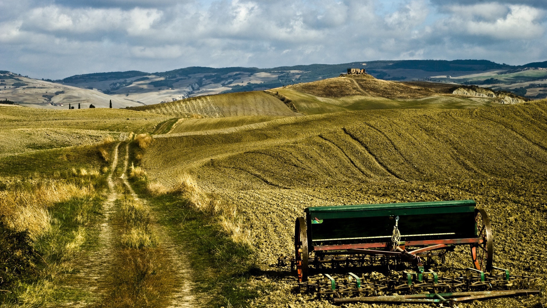 Засеянное поле весной