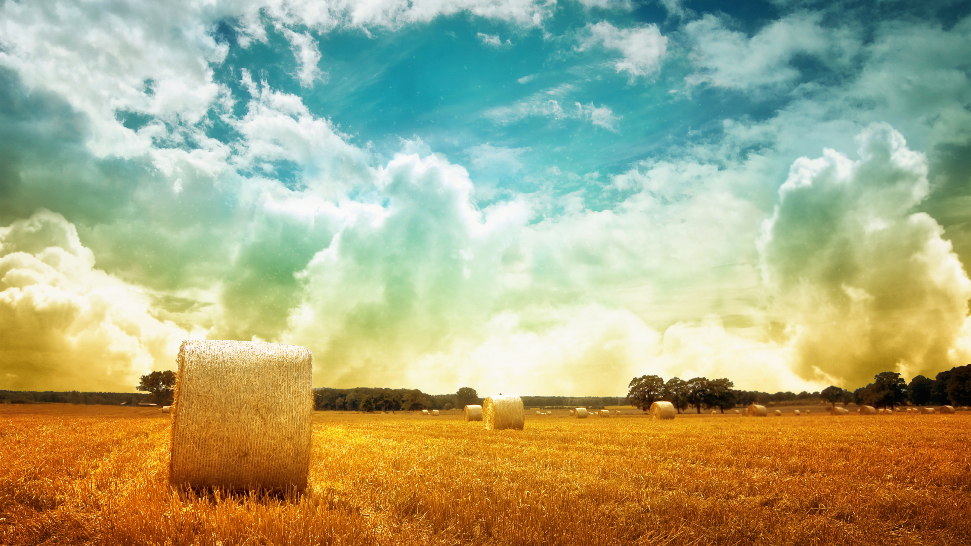 Скошенное поле