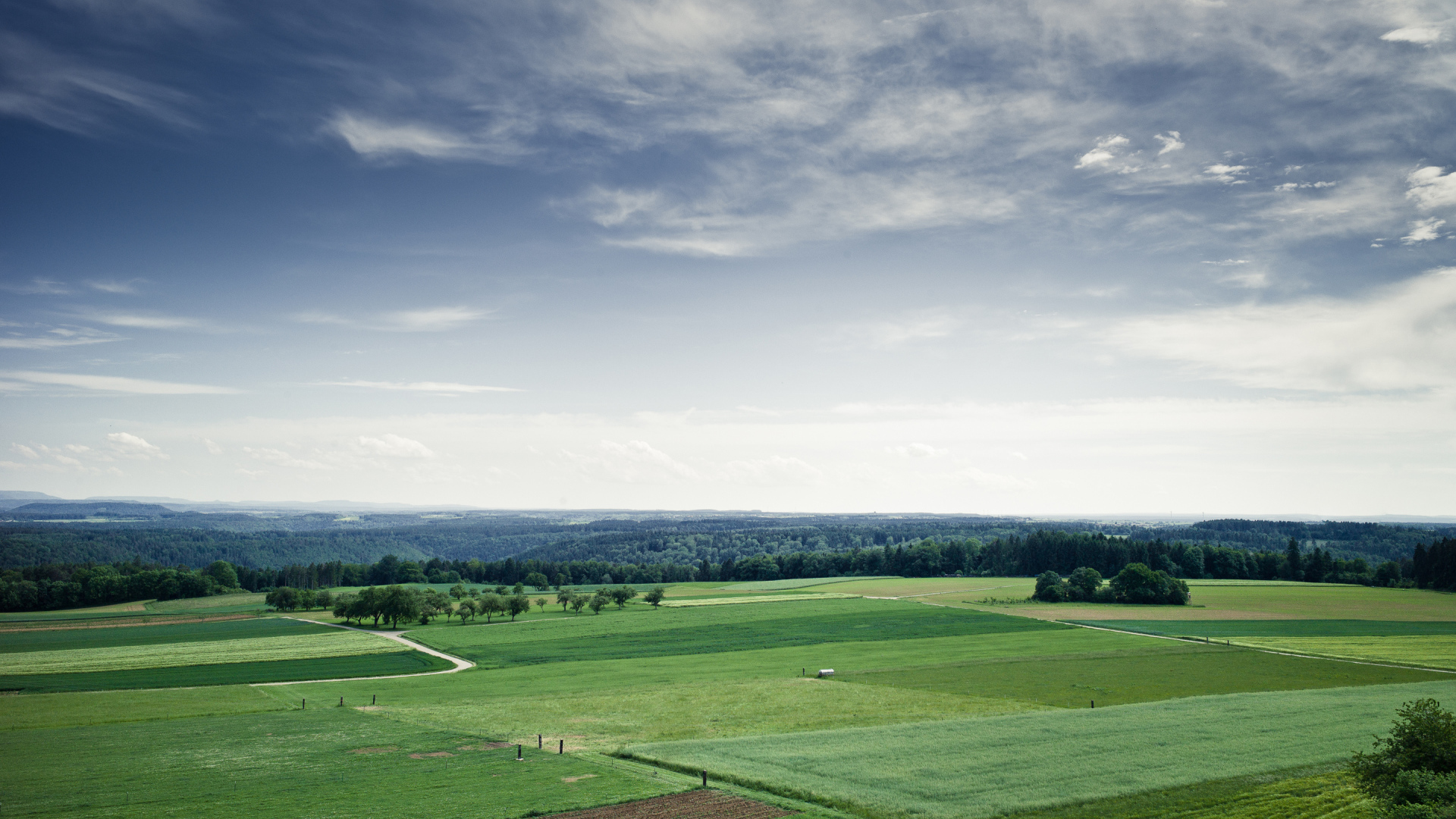 Поля и леса до горизонта