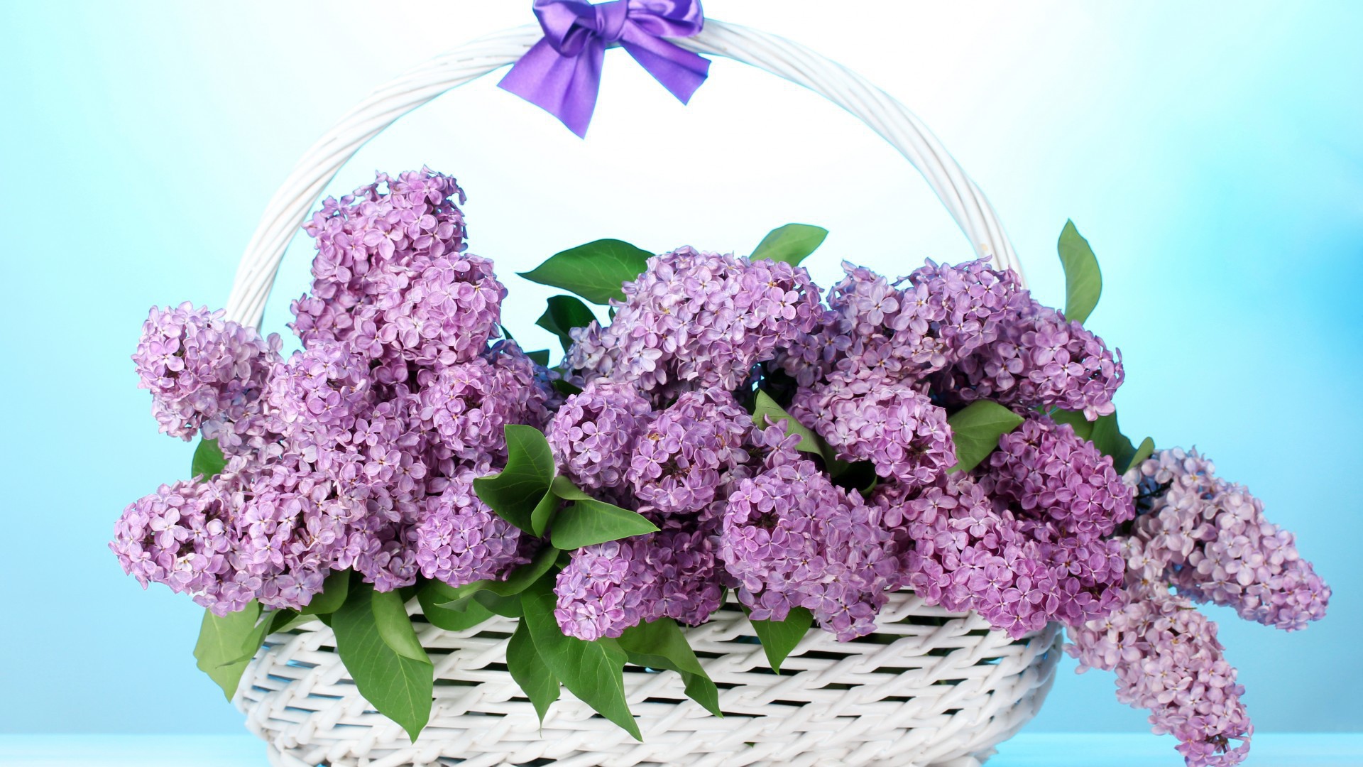 Сирень в корзине