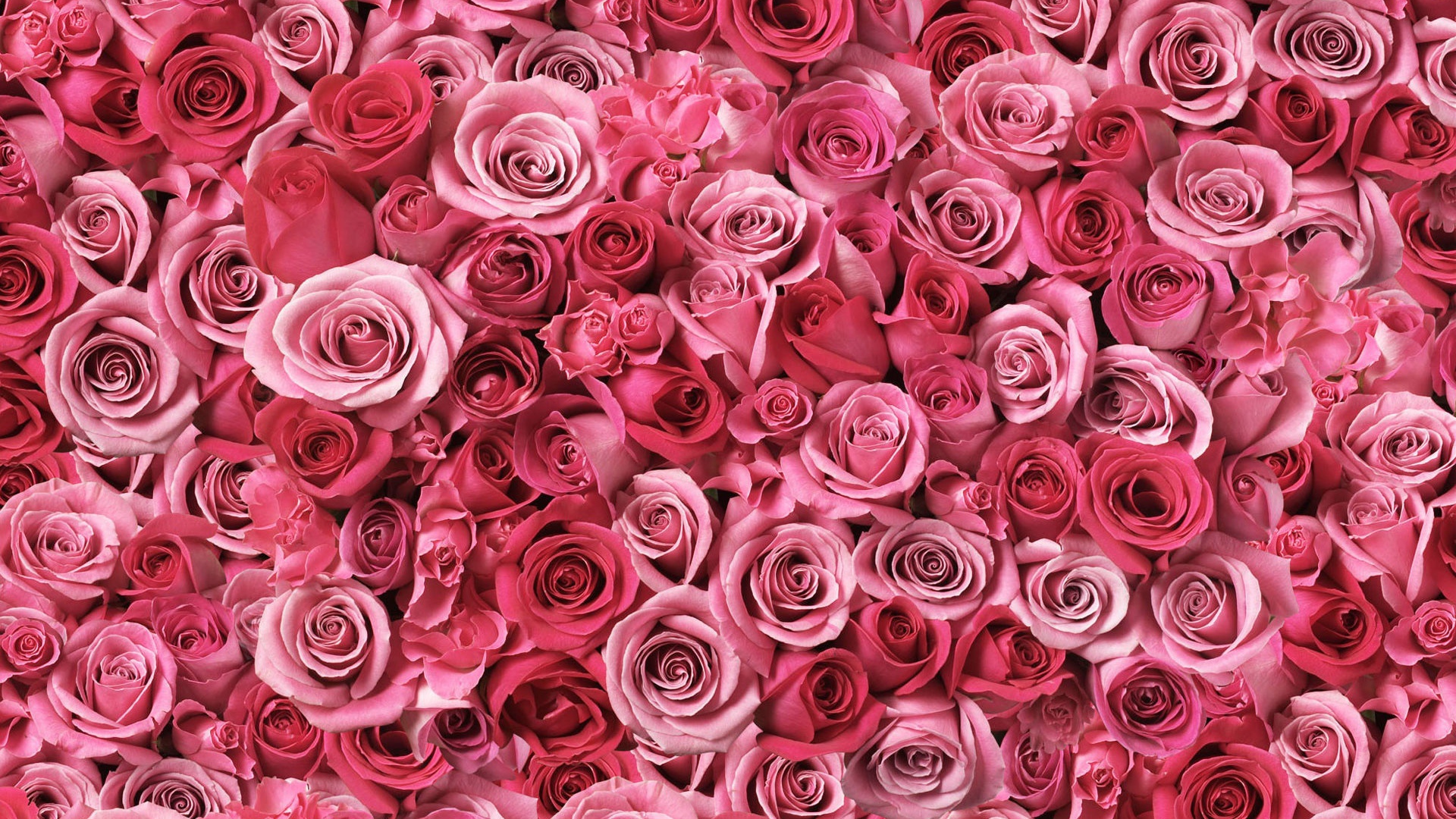 Спирали любви 