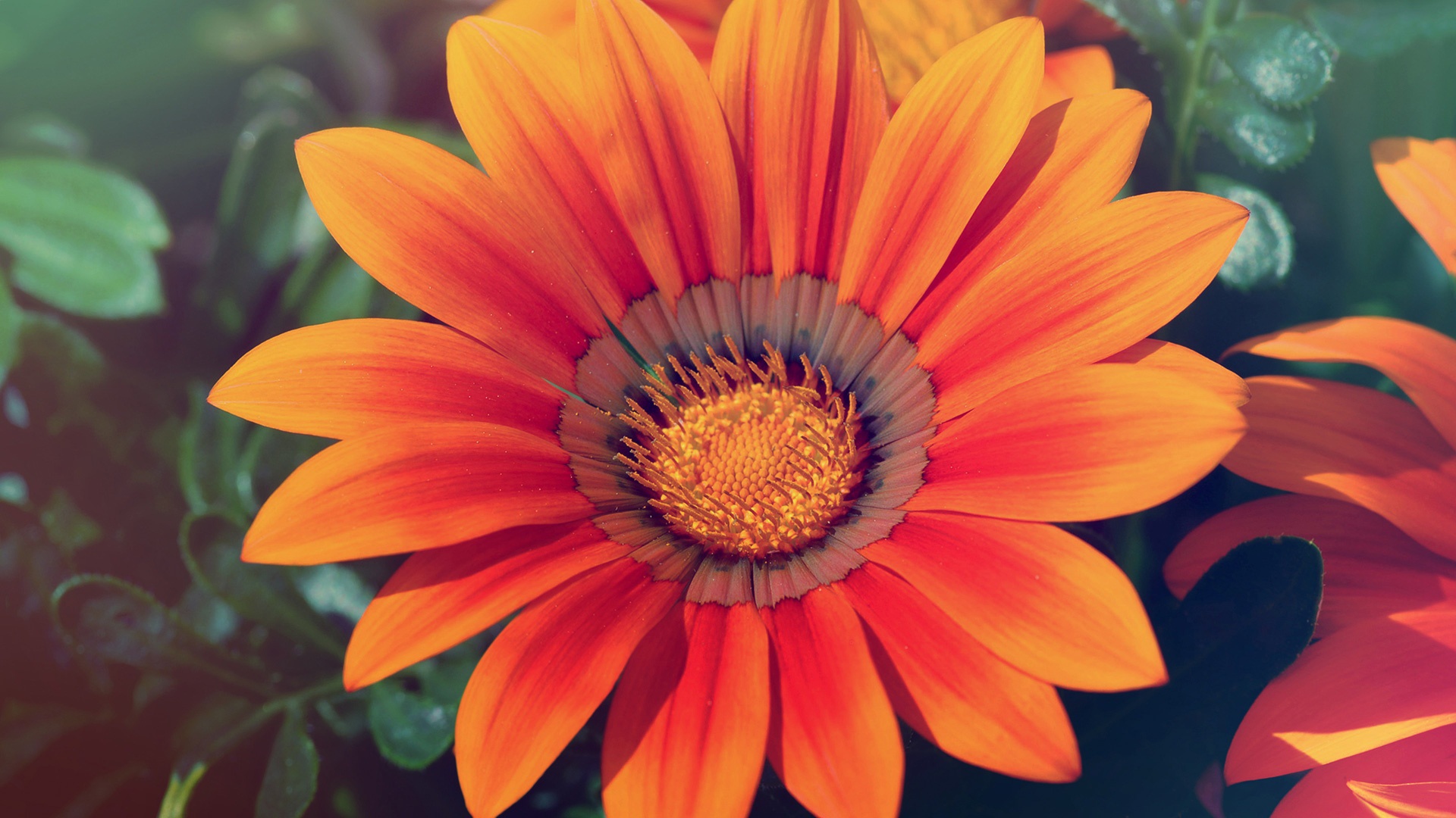 Весенняя любовь