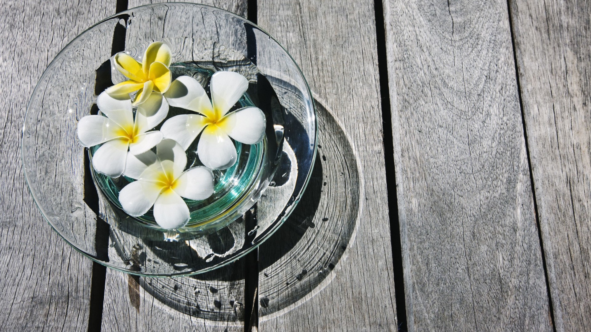 белая композиция