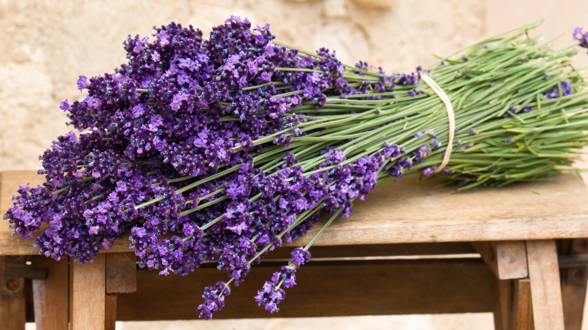 Букет лаванды на скамейке