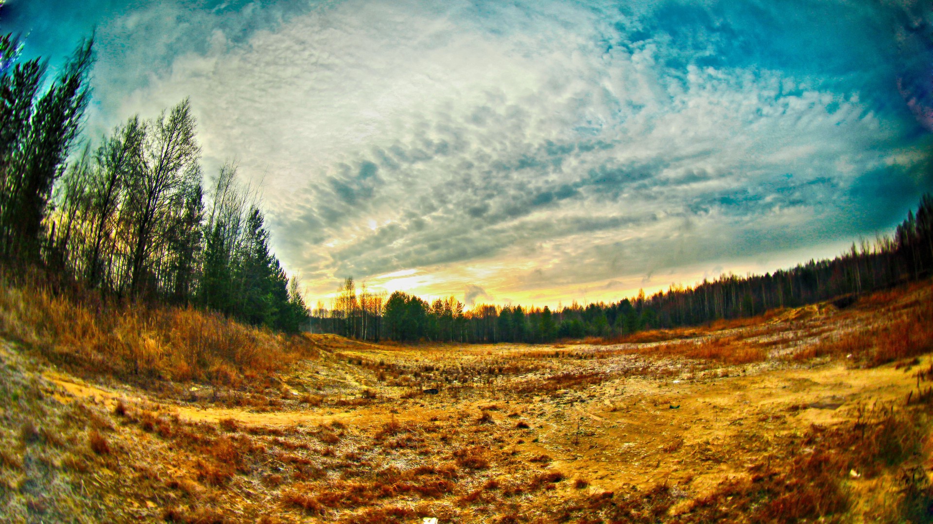 Просека в лесу