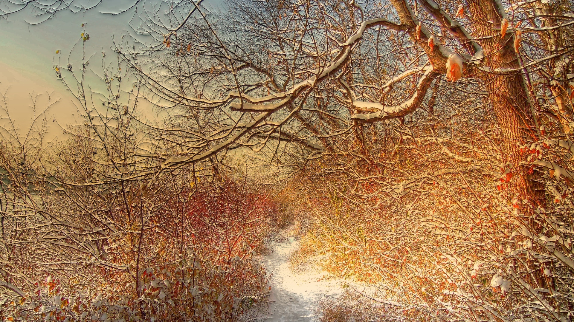 Зимняя дорожка через лес