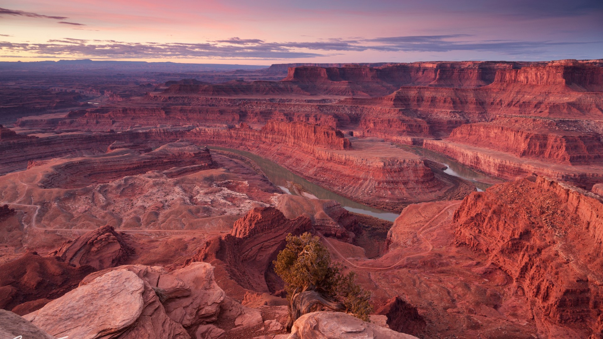 Розовый каньон