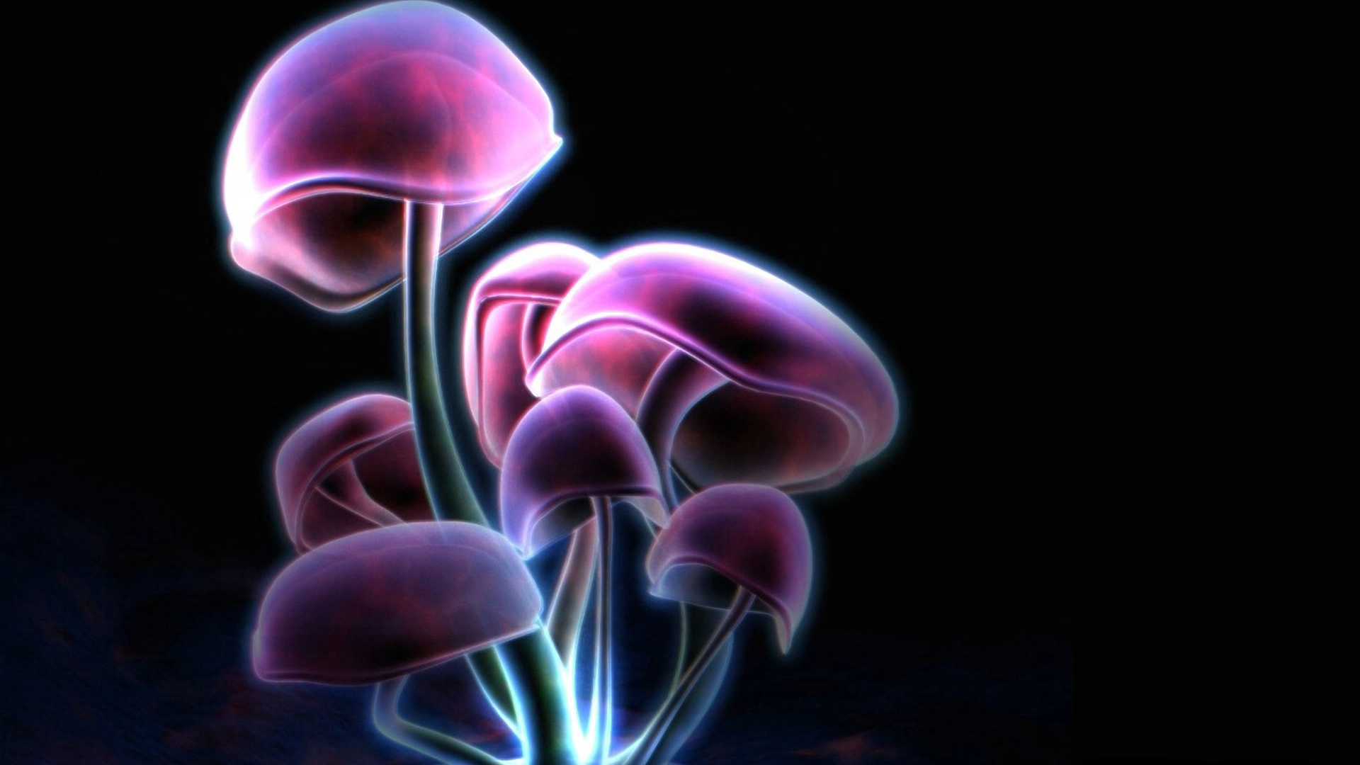 	  Purple mushrooms