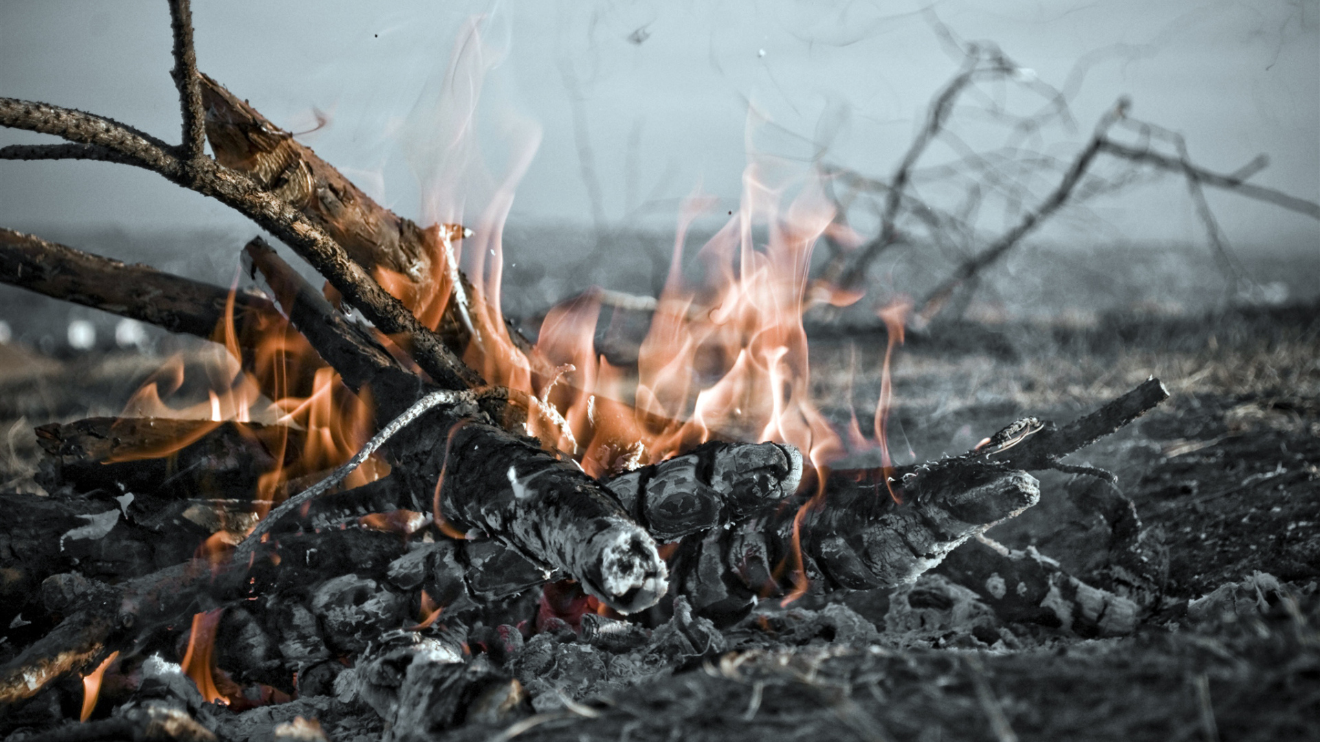 Огонь костра