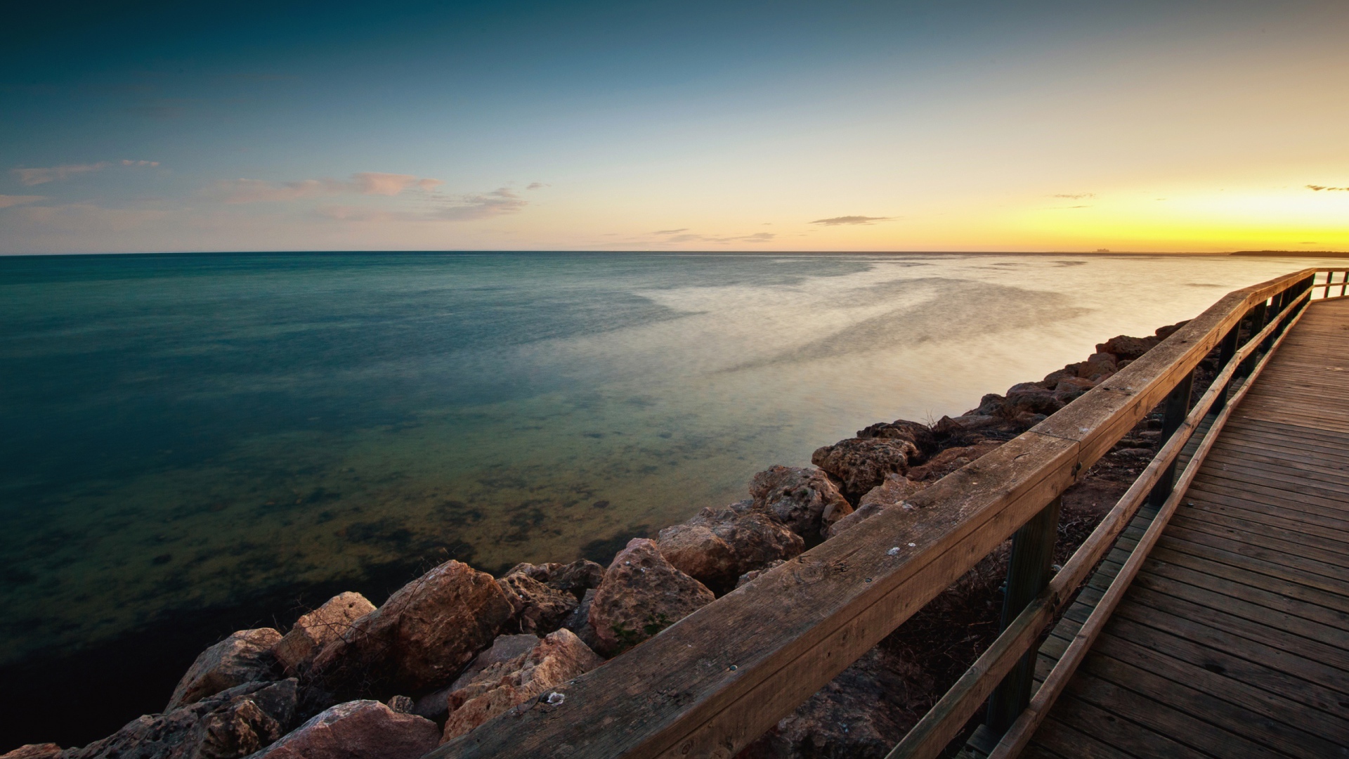 Пляж моллюсков