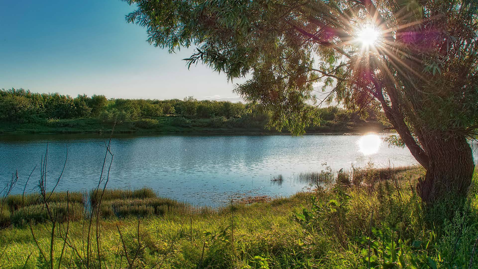 На берегу озера летом