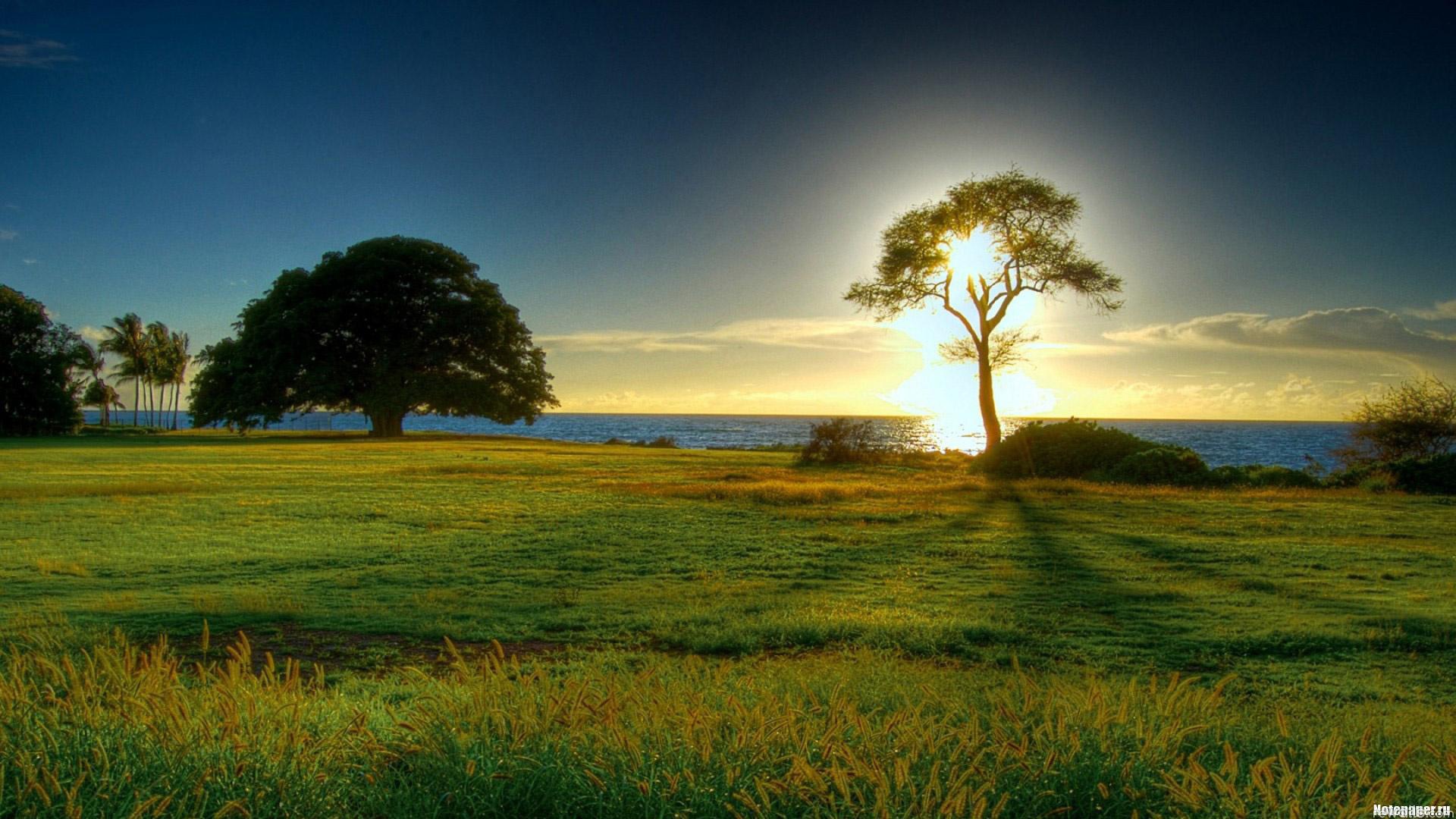 Летний вечер на берегу моря