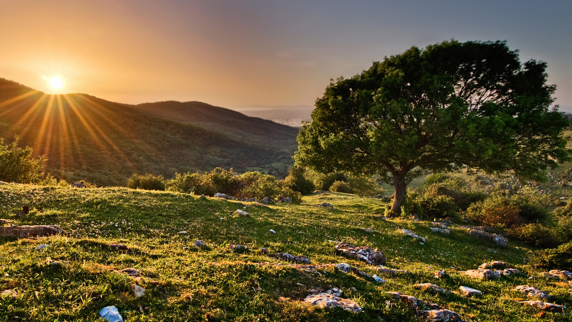 Закат в заповеднике