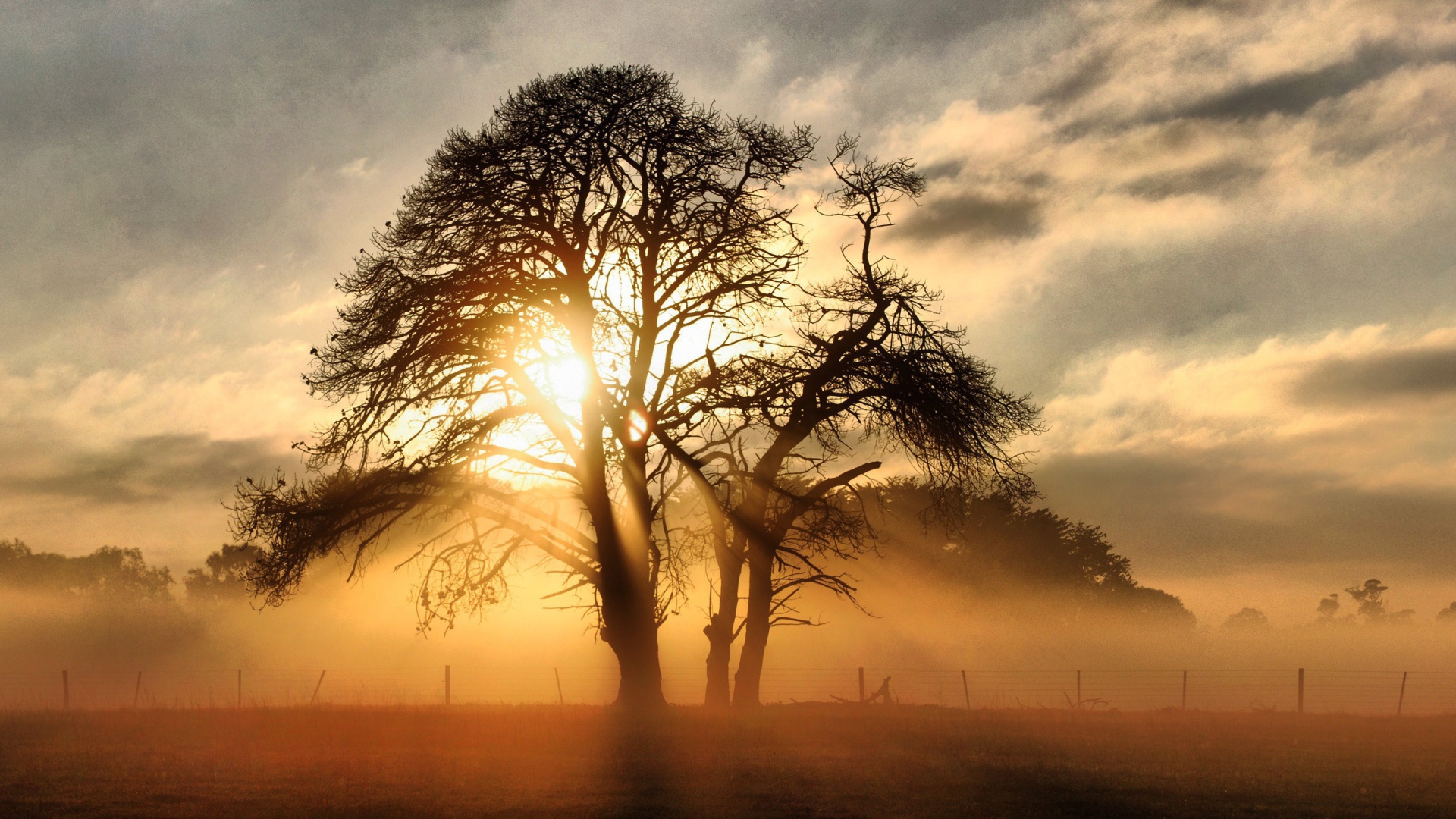 Закат на поле