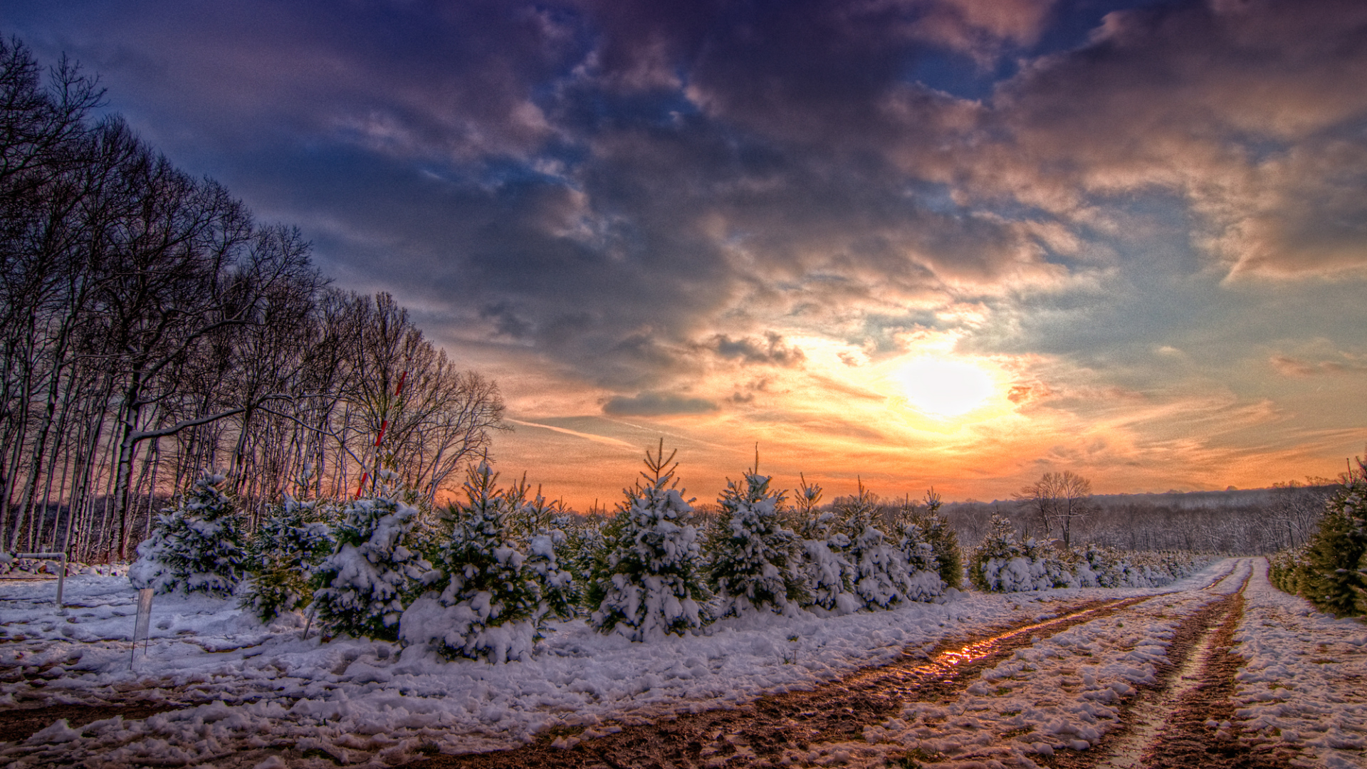Зимняя дорога в закат