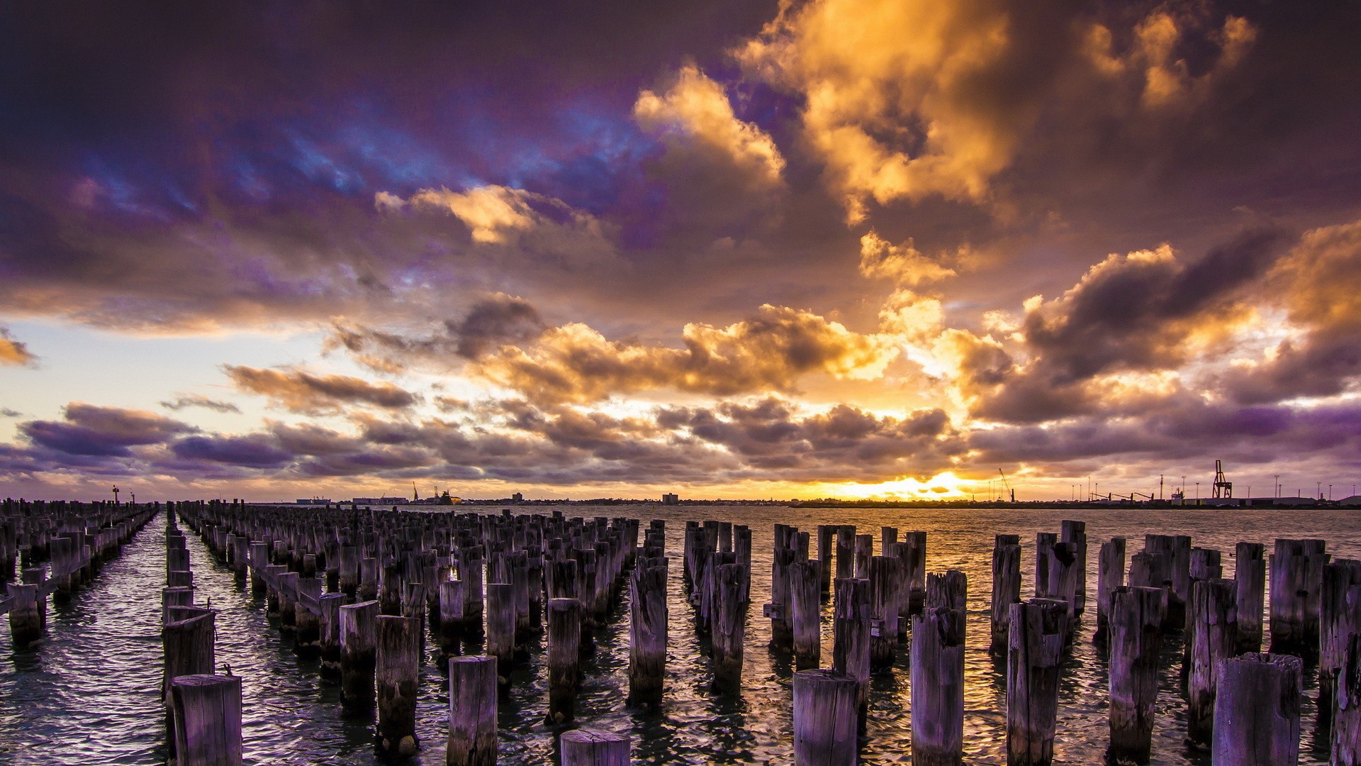 Деревянные сваи в воде