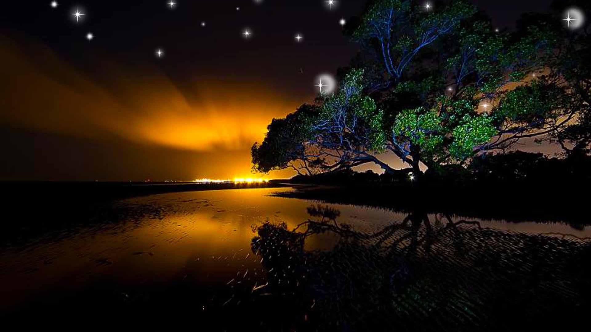 Звезды на ночном небе