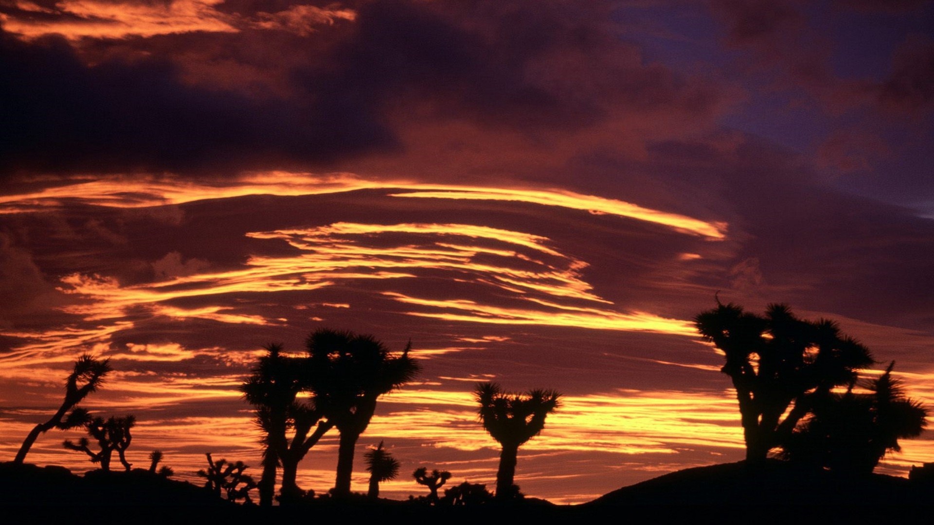 Облака на закате