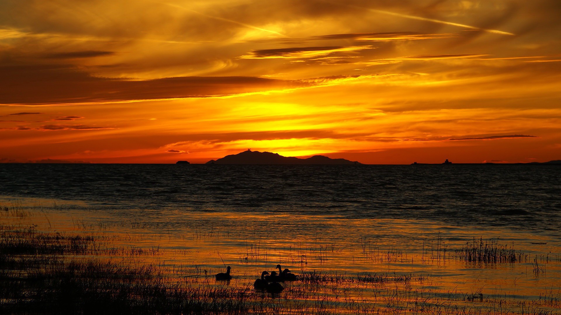 	   Golden sunset over the lake