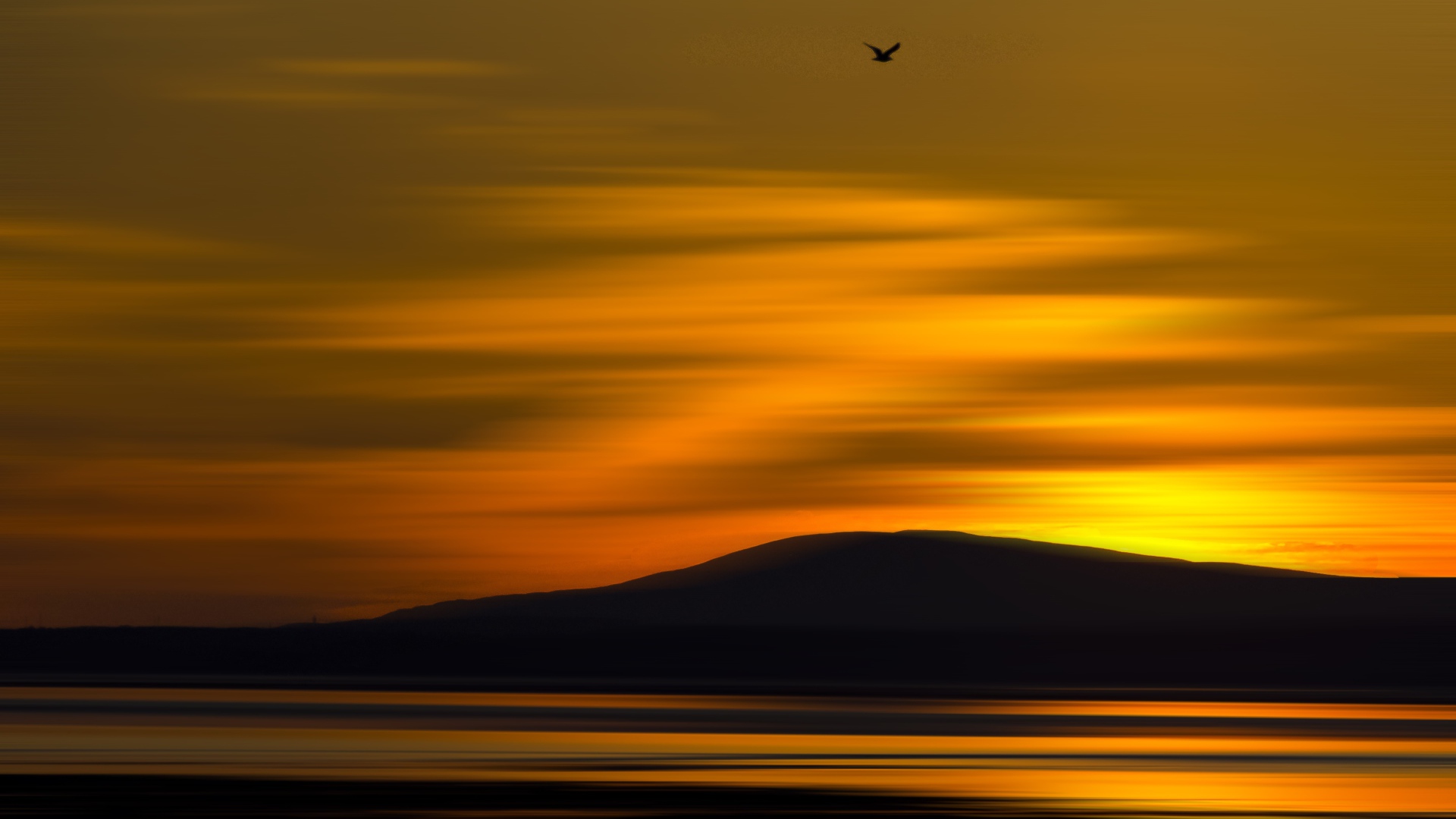 Птица летит на закате