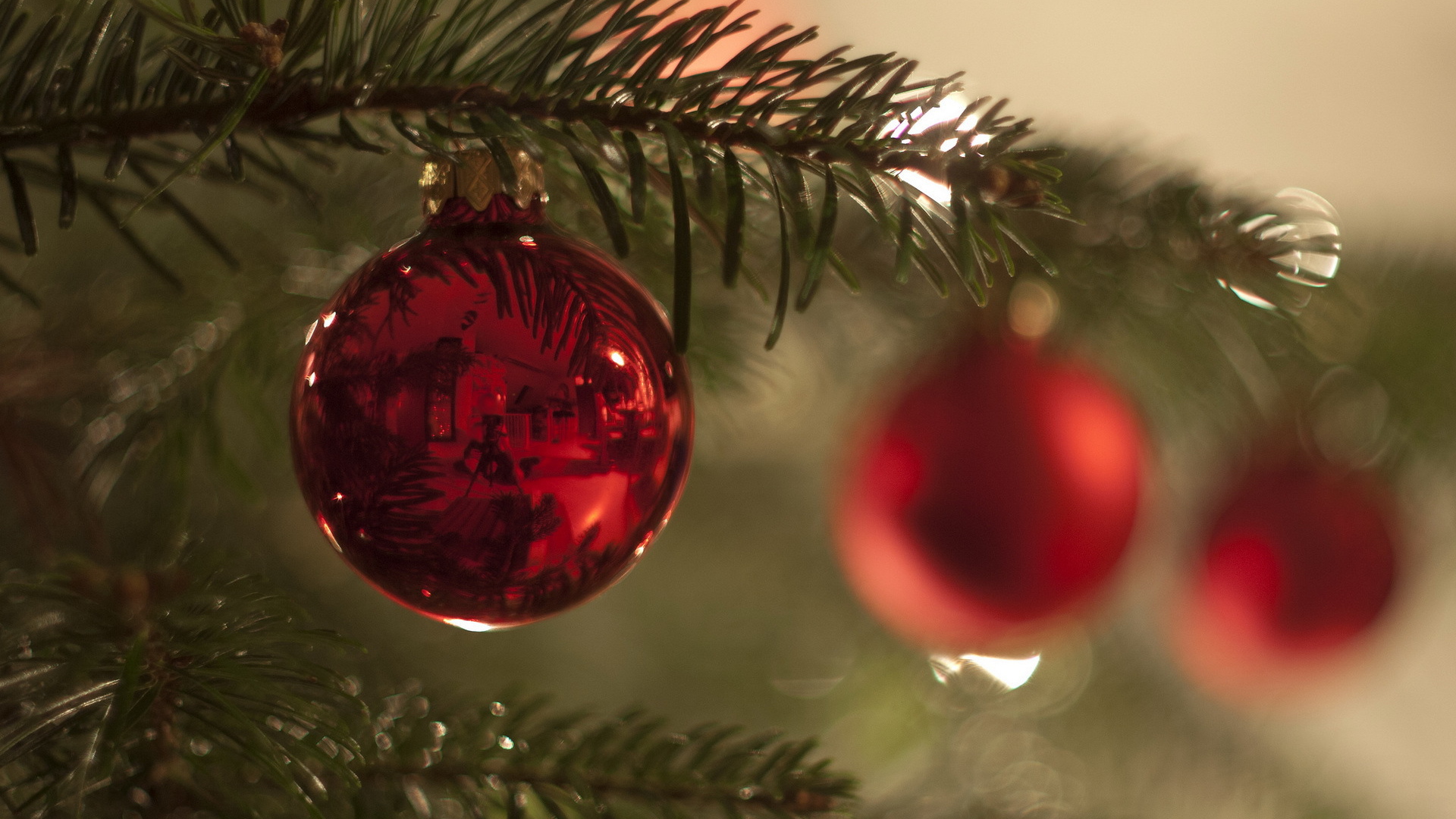 Красный шар на ветке