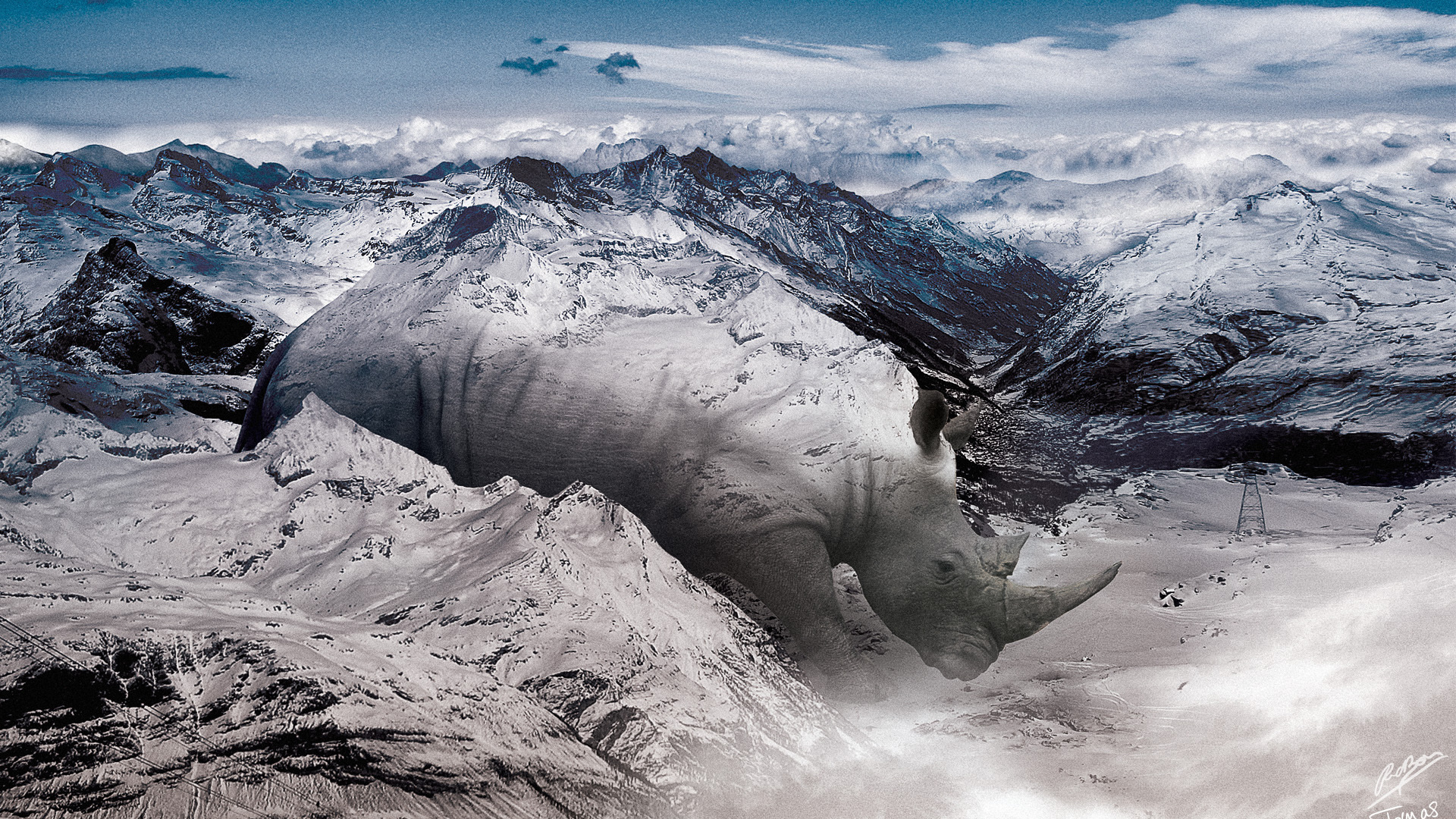 Носорог в горах