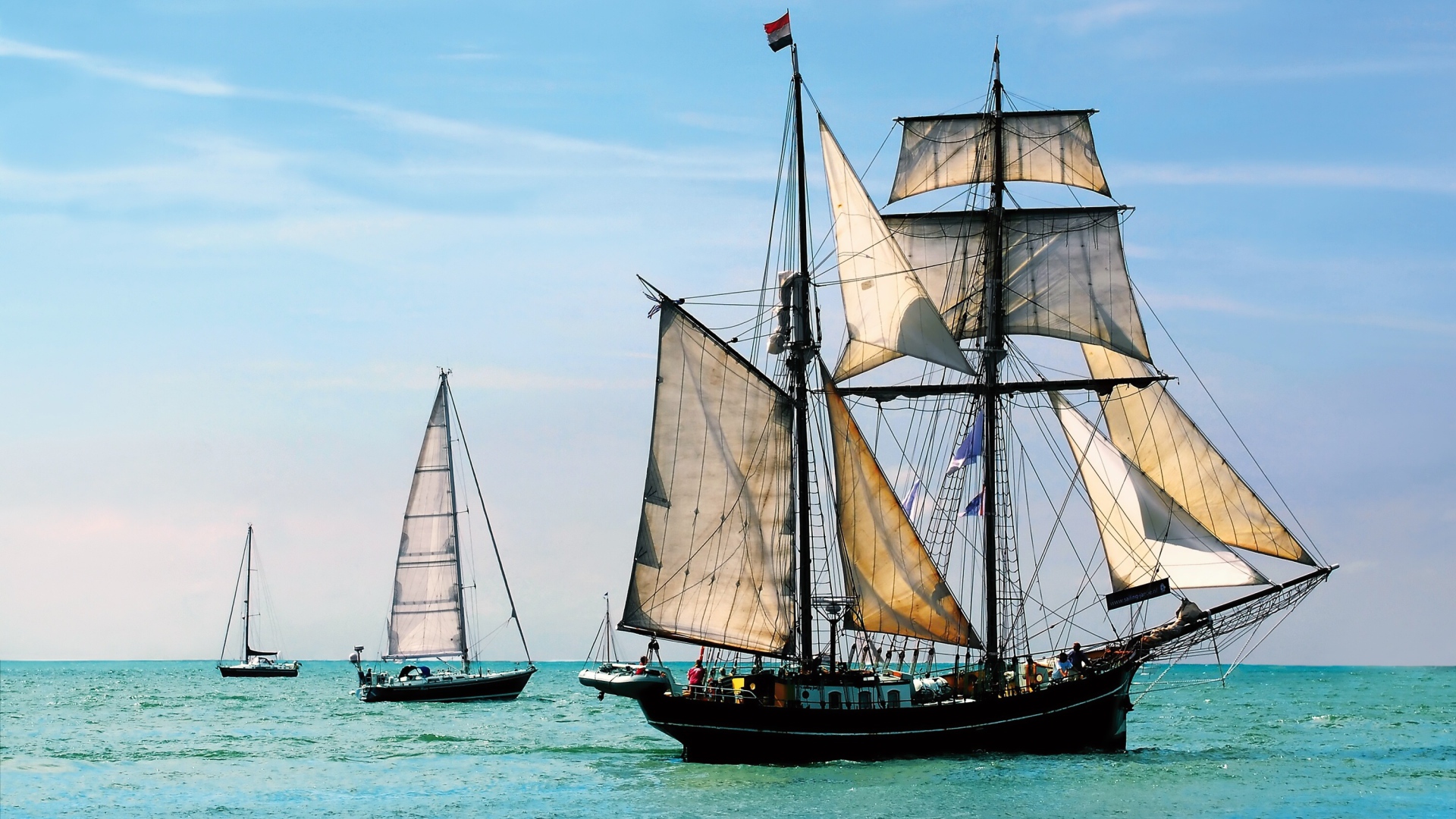 Плеяда парусников в море