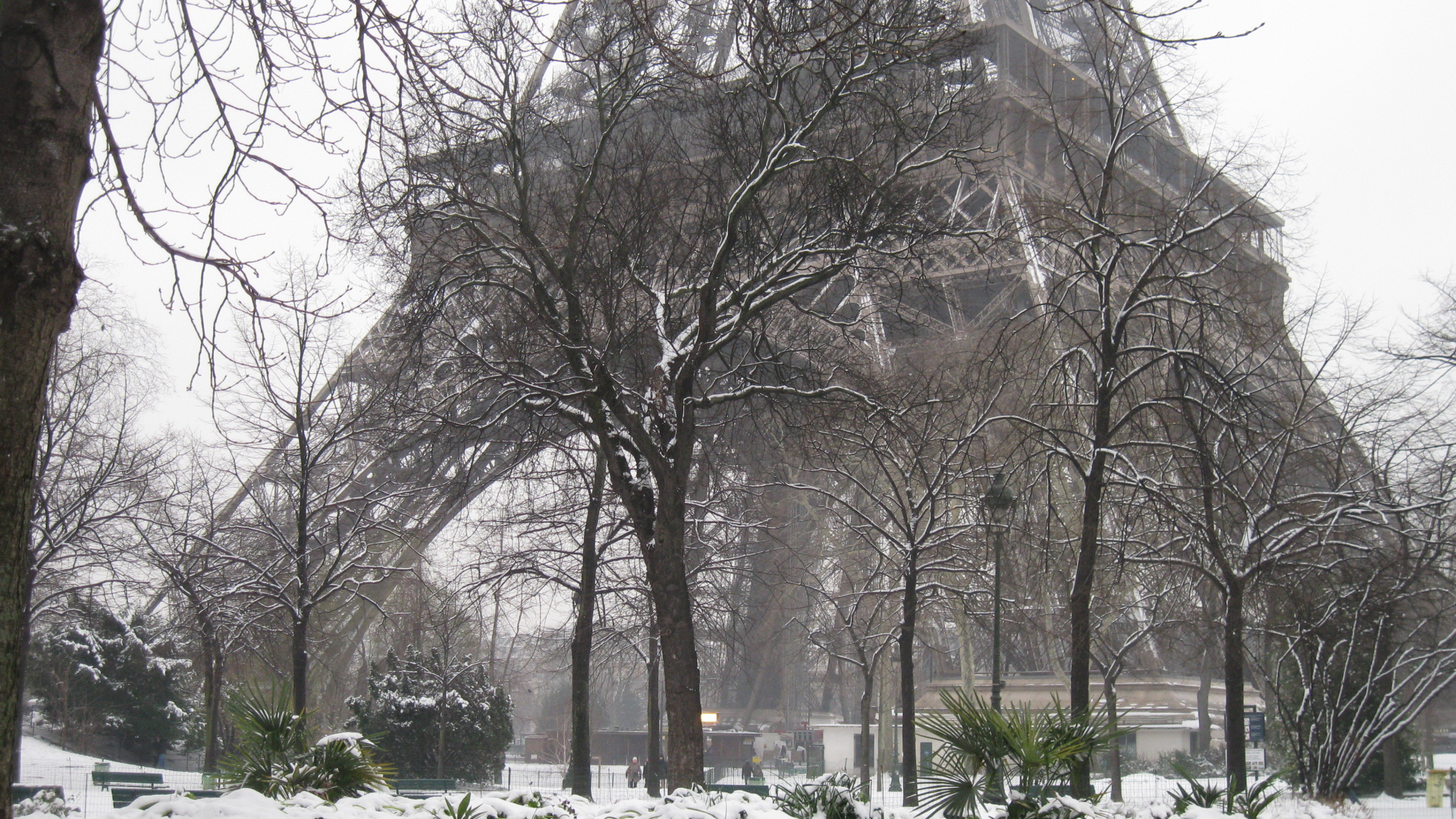 Snow in Paris trees around the Eiffel Tower