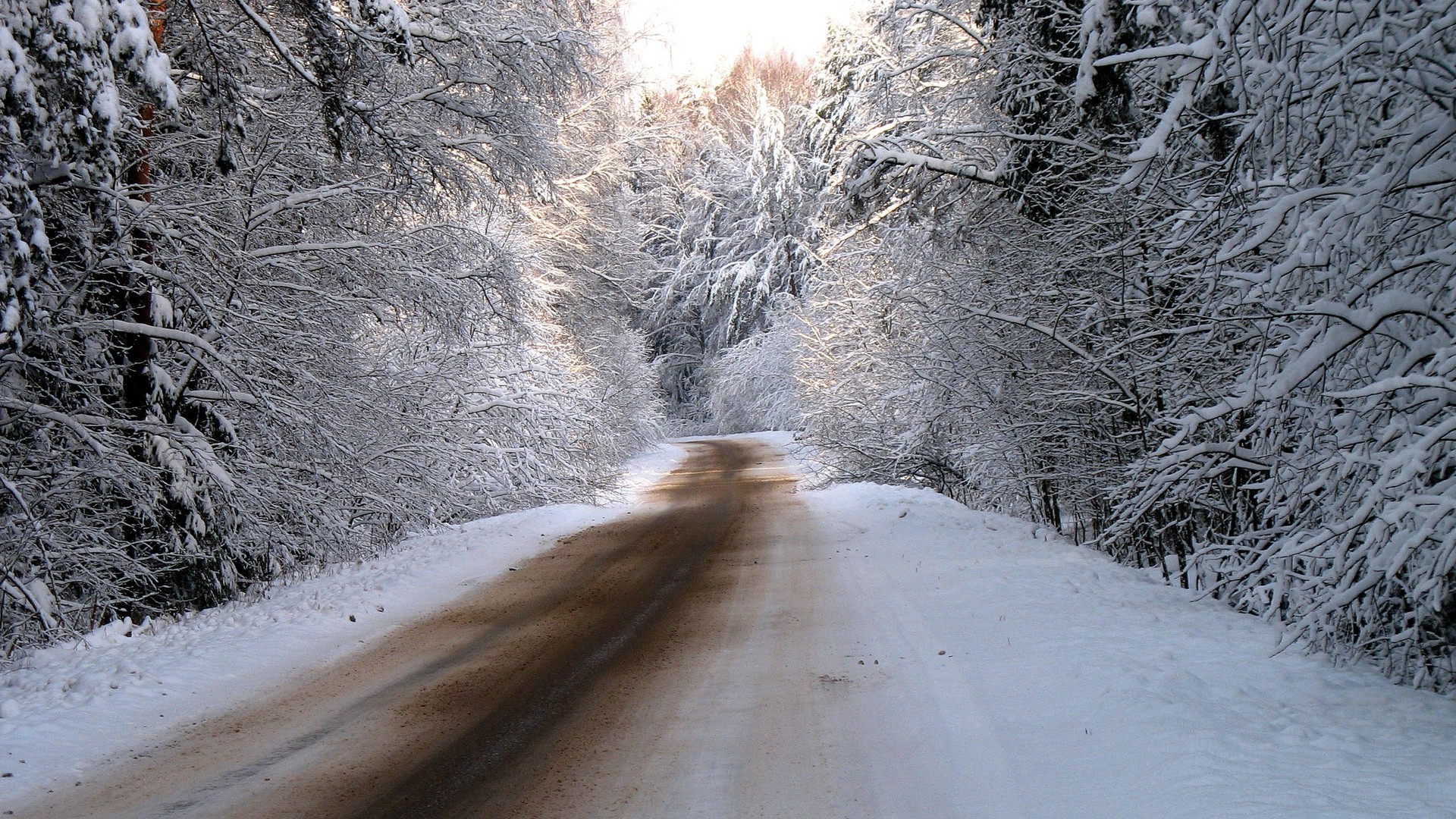 Дорога в заснеженном зимнем лесу