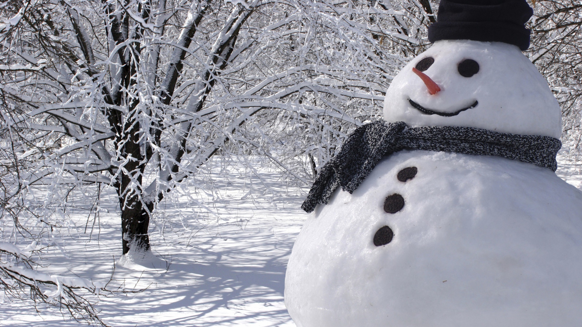 Снеговик в шляпе и шарфе