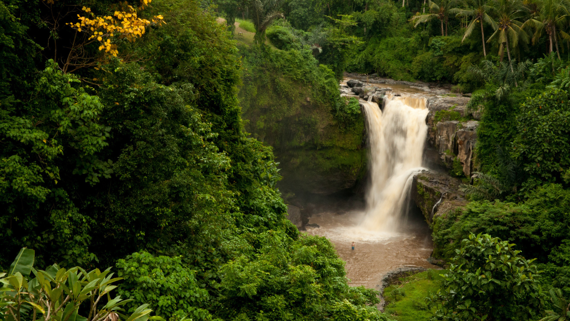 Водопад в джунглях Бали