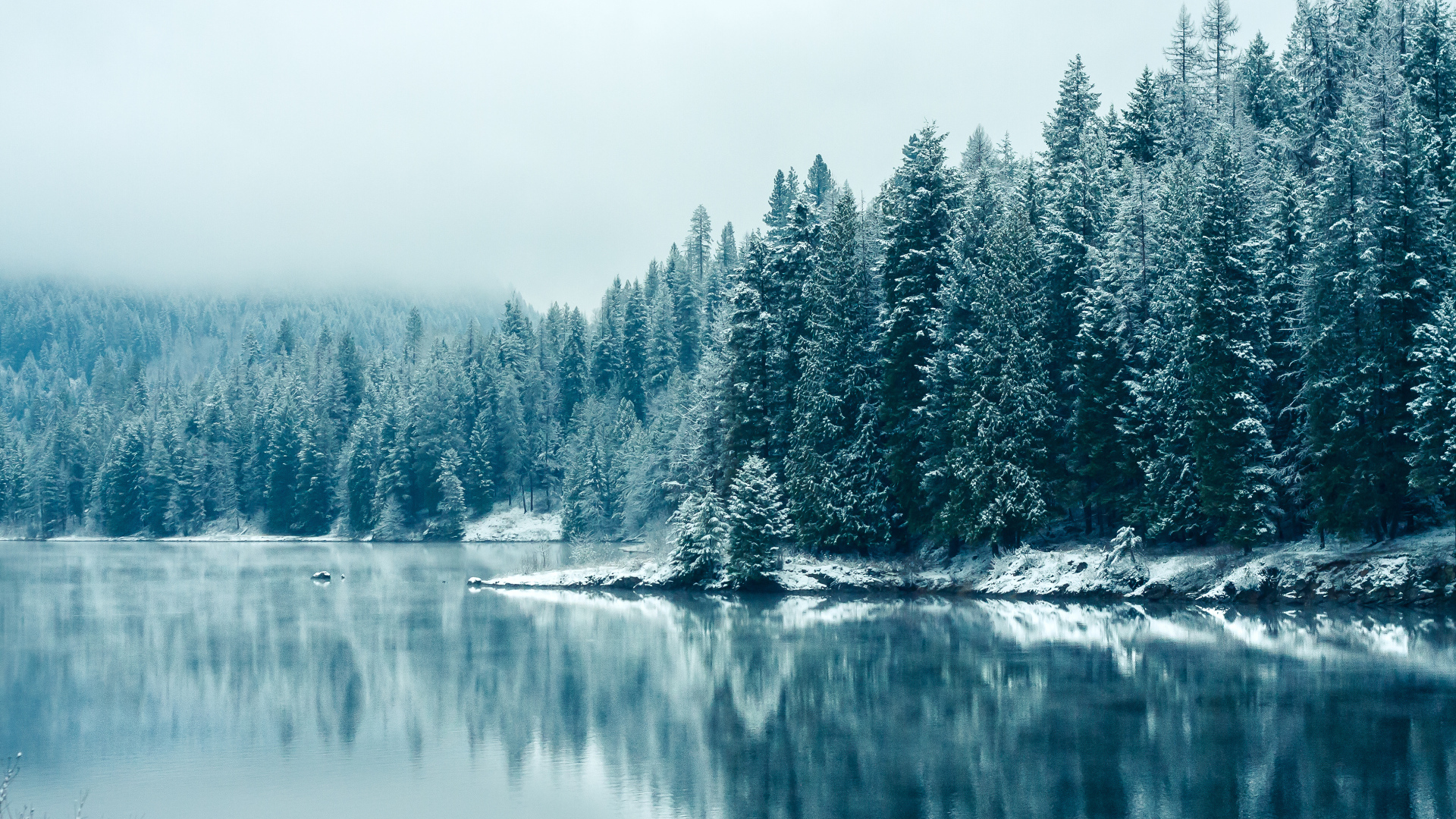 Beautiful winter, British Columbia, Canada