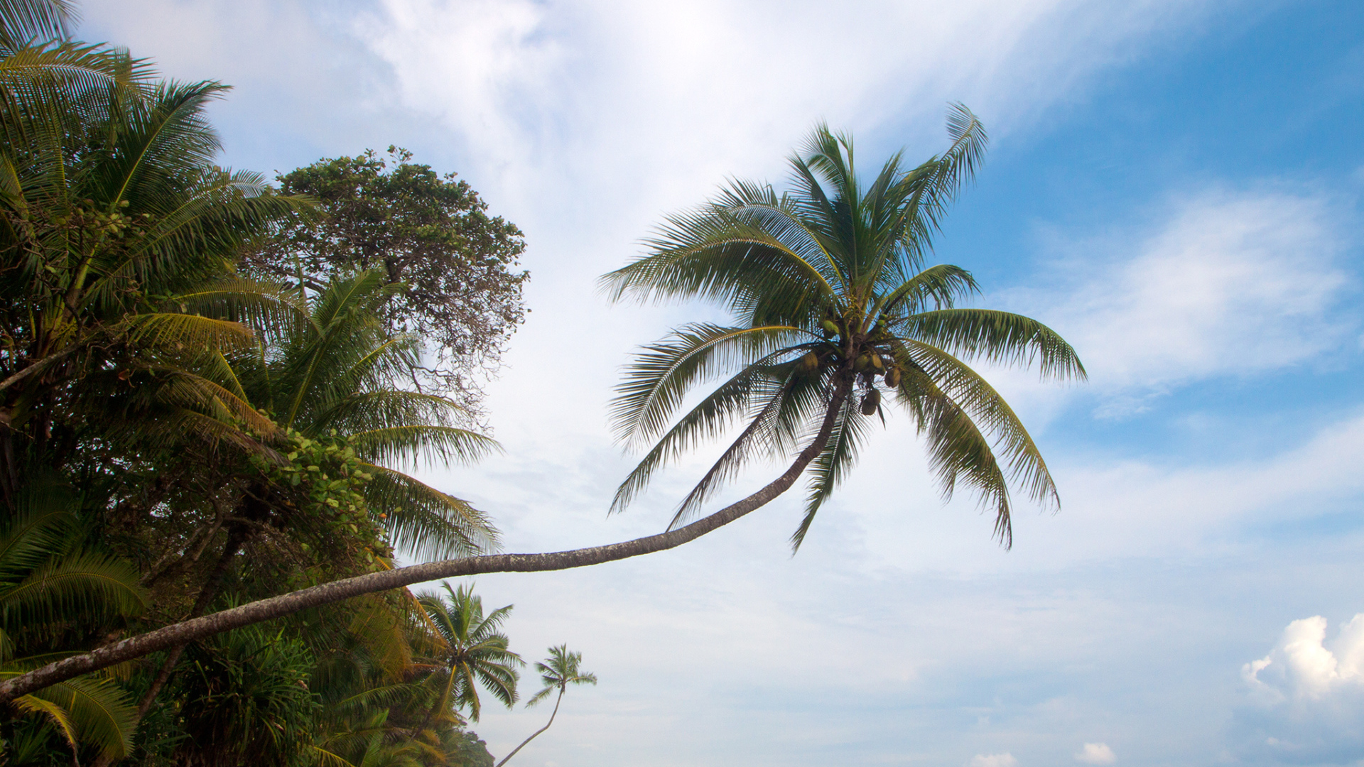 Великое Коста-Рика