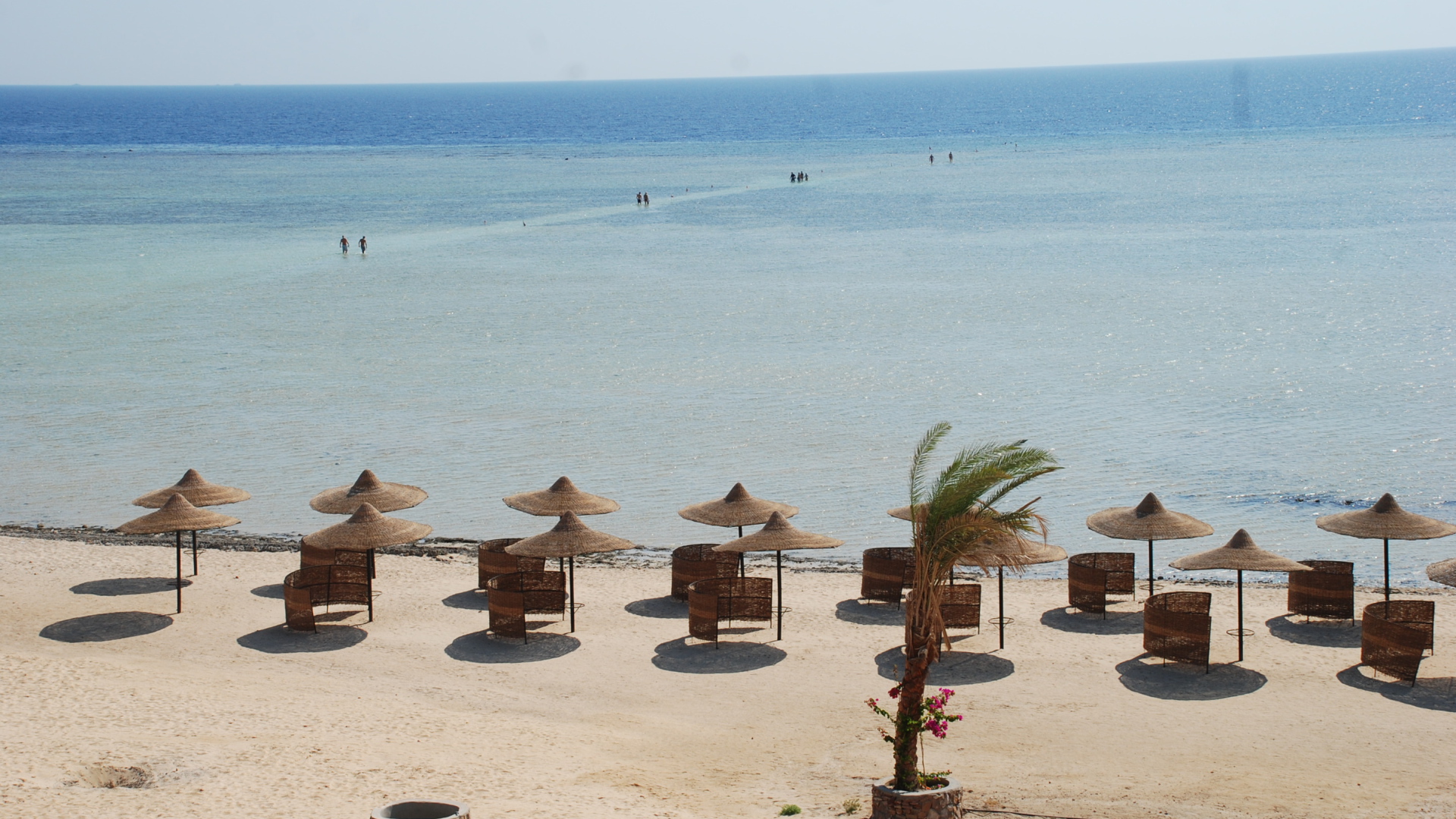 Пляжные зонтики на курорте Марса Алам, Египет