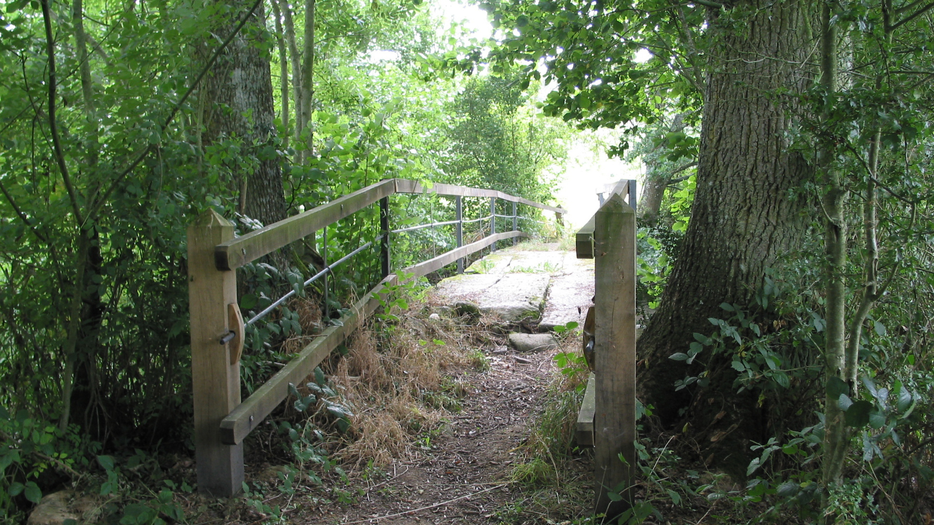 Лесная тропа в Нормандии, Франция