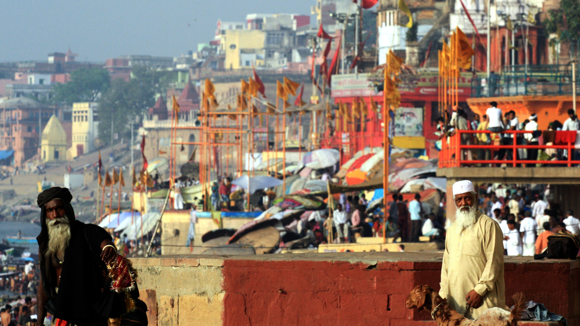 Житель Варанаси с козами