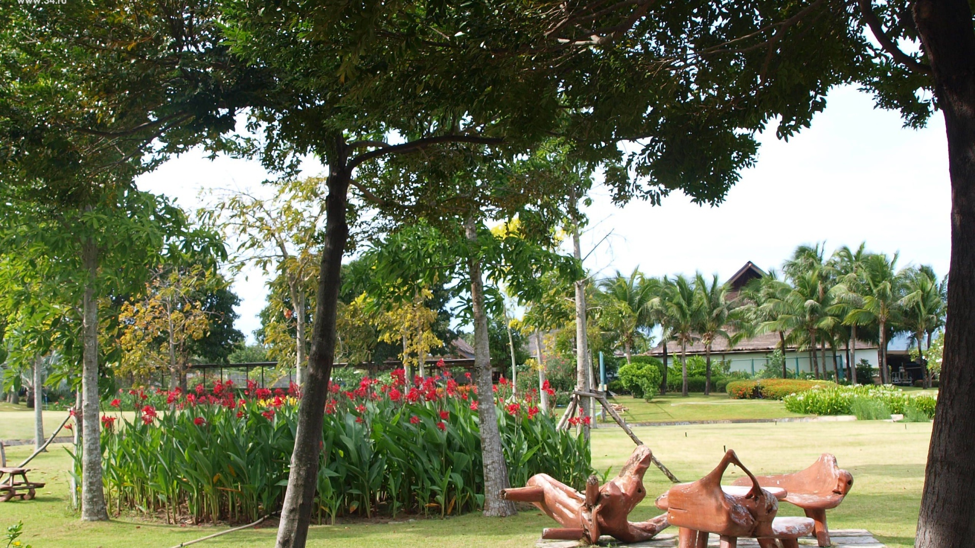 Райские сады на острове Самуи, Таиланд