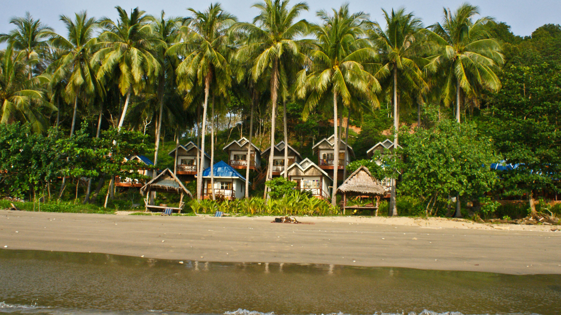 Дома среди пальм на острове Тао, Таиланд