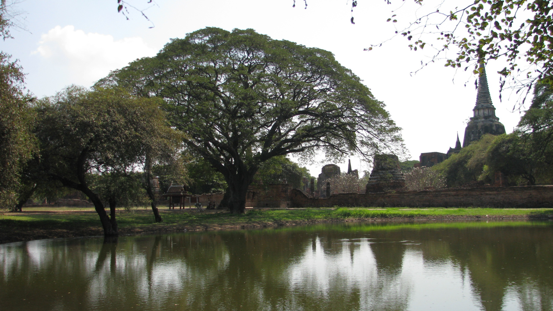 Пруд на курорте Аютайя, Таиланд
