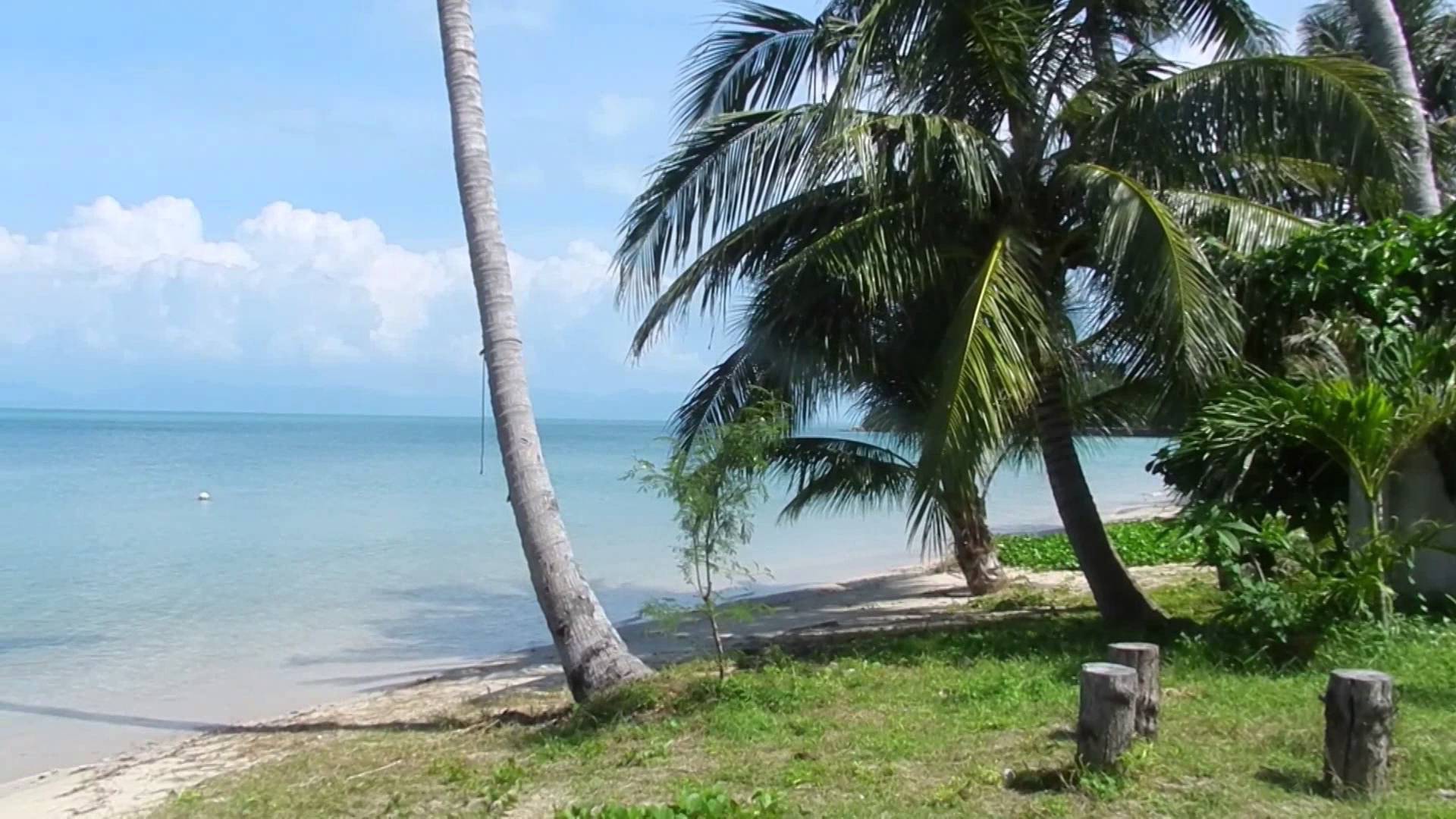 Летний отдых на острове Самуи, Таиланд