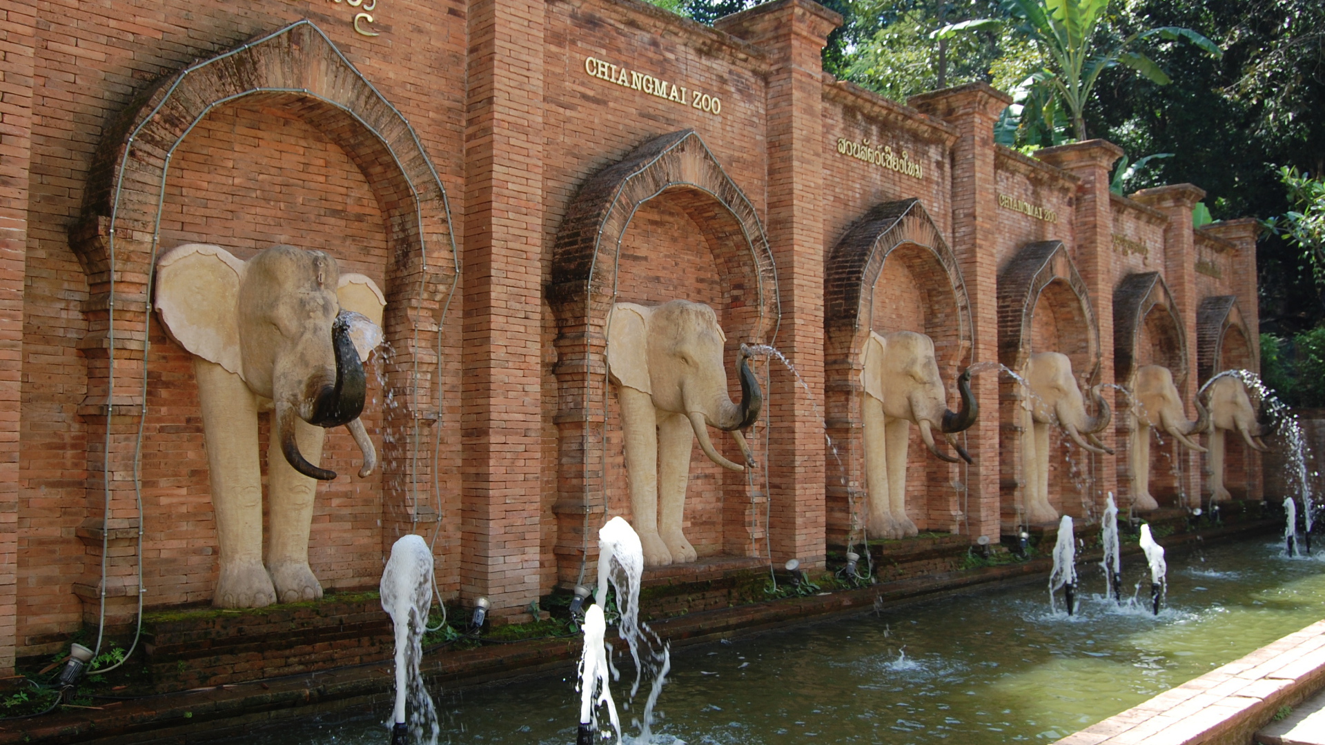 Зоопарк на курорте Чианг Май, Таиланд