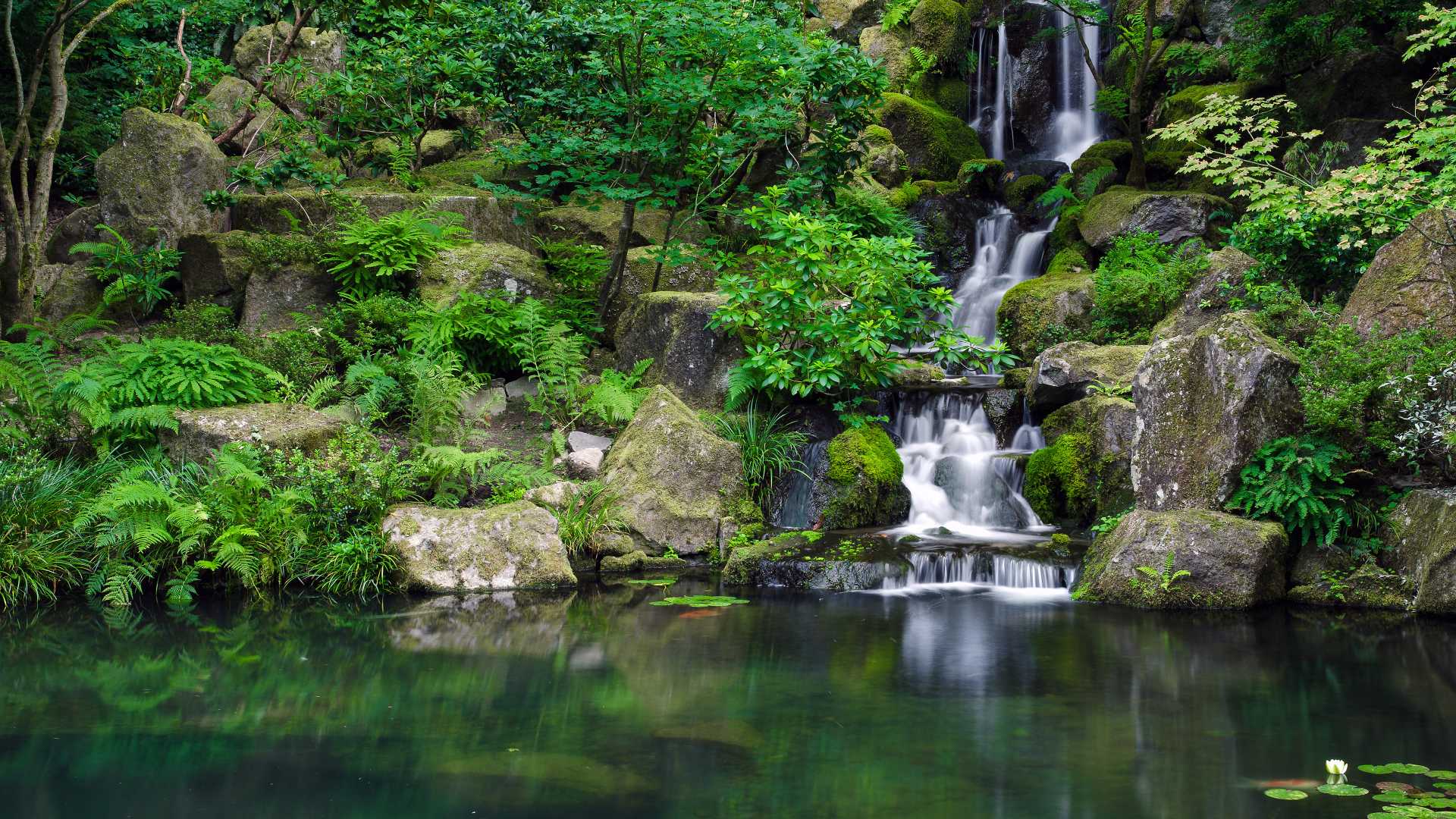 Портленд Джапанес Гарденс, Орегон, США