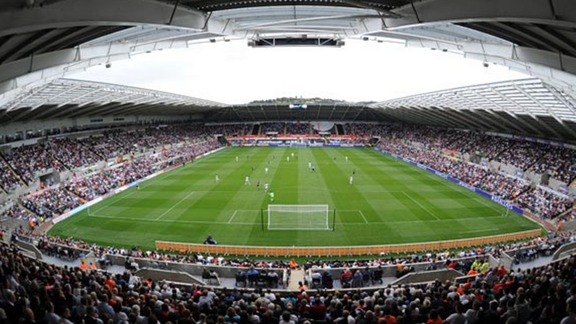 Возлюбленный Футбольный клуб Англии Суонси Сити