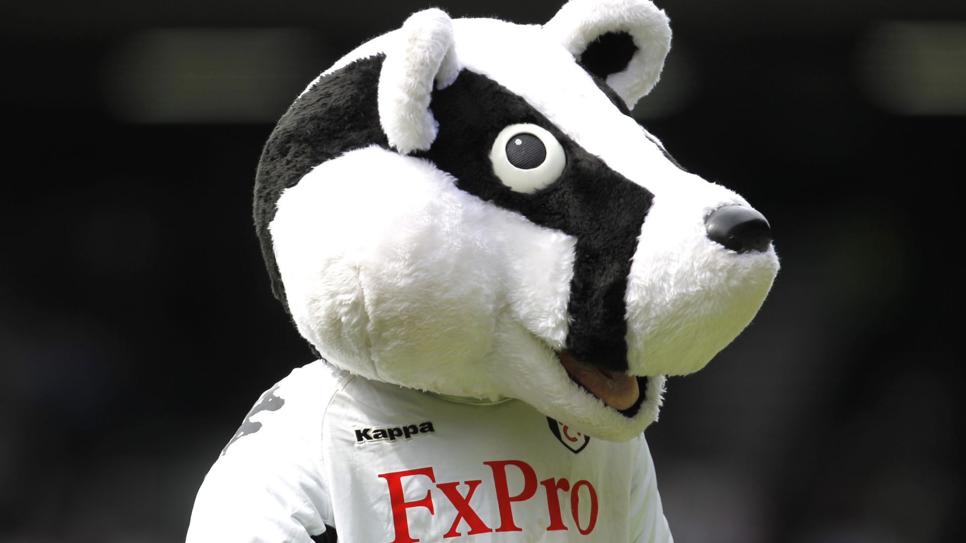 Лучший Футбольный клуб Фулхэм