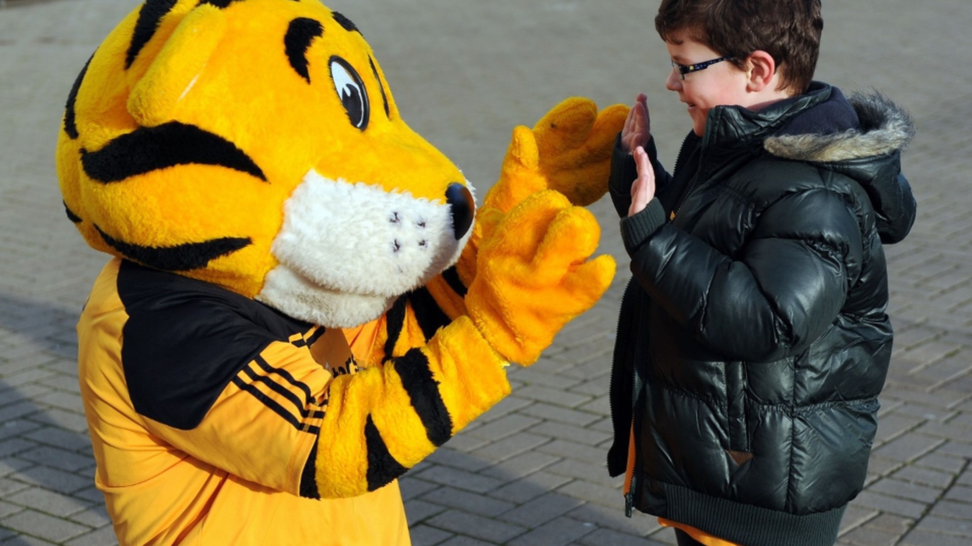 Знаменитый футбольный клуб Халл Сити