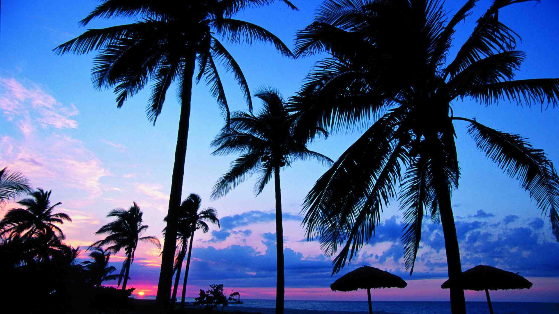 Пальмы на фоне заката на курорте Гуардалавака, Куба